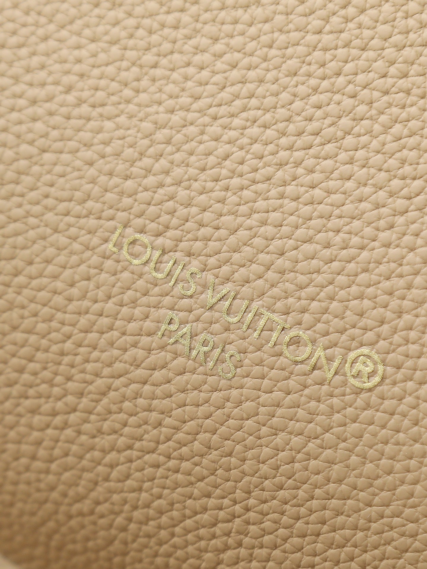 LV bag