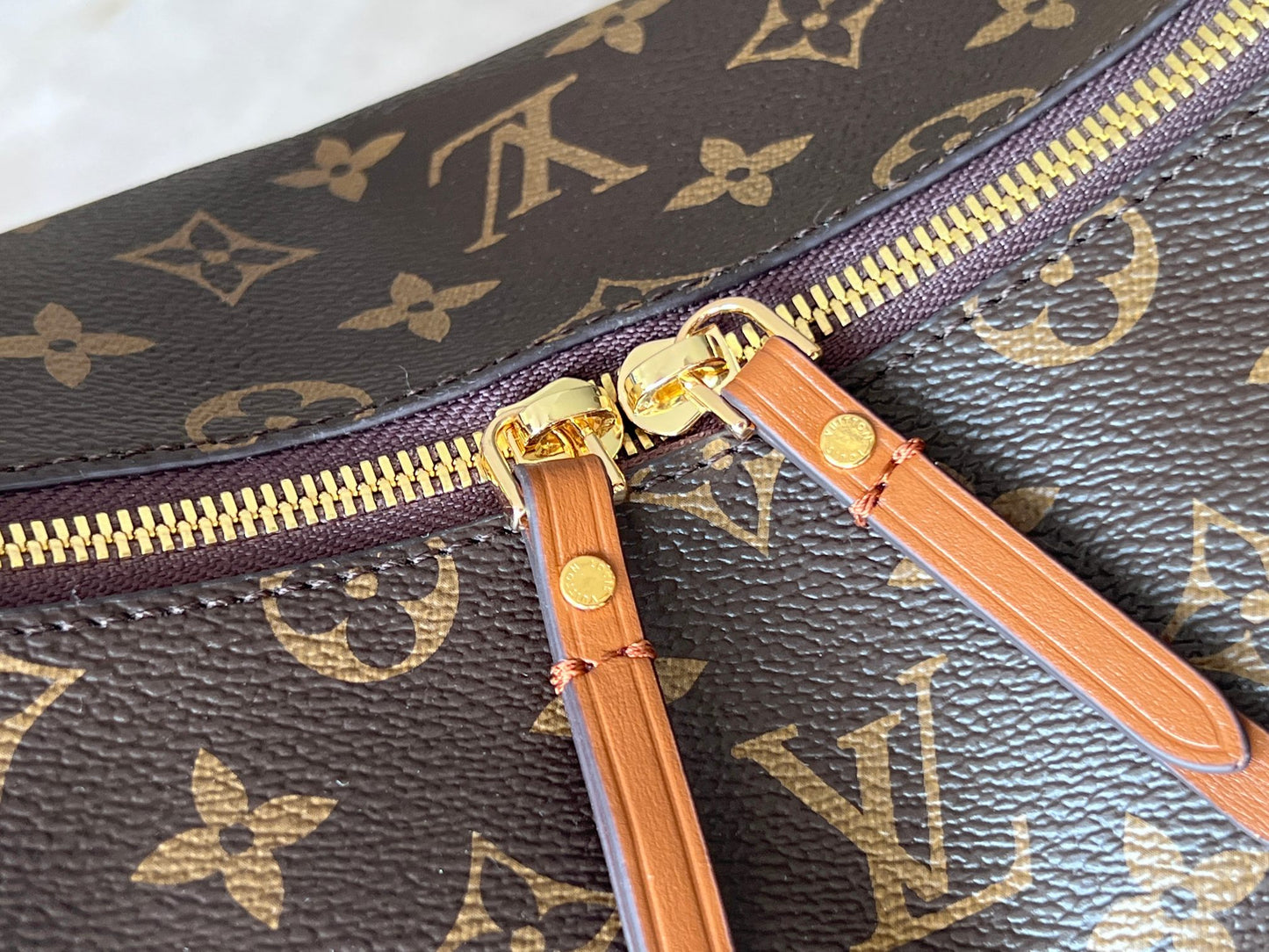 LV bag