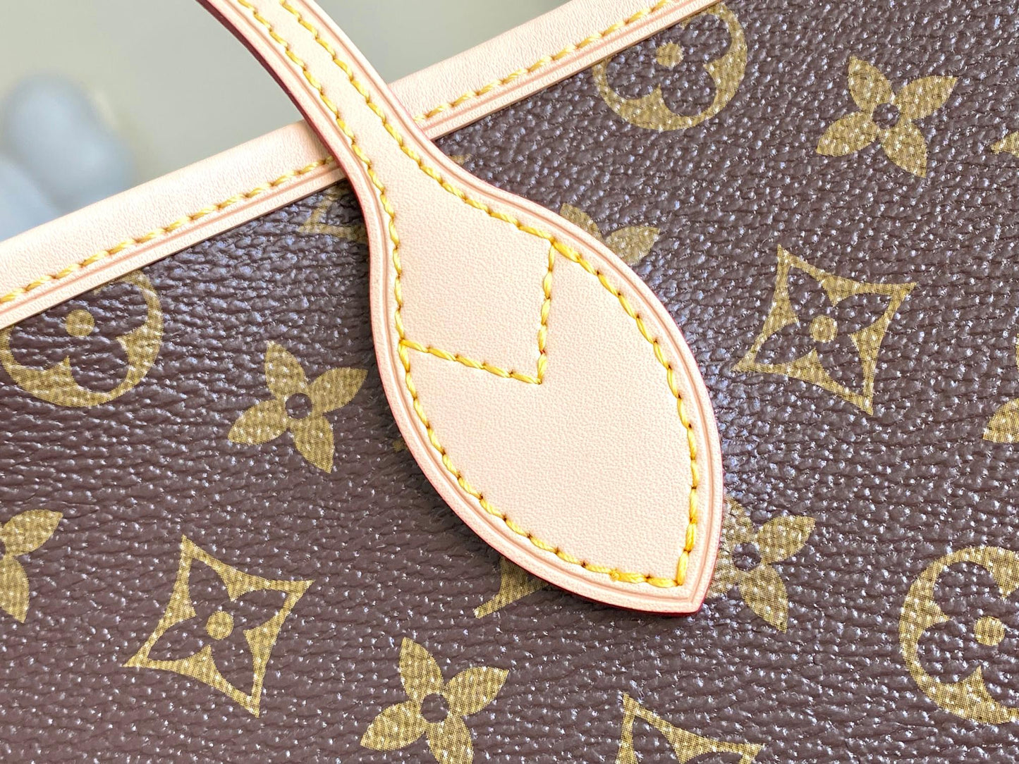 LV bag