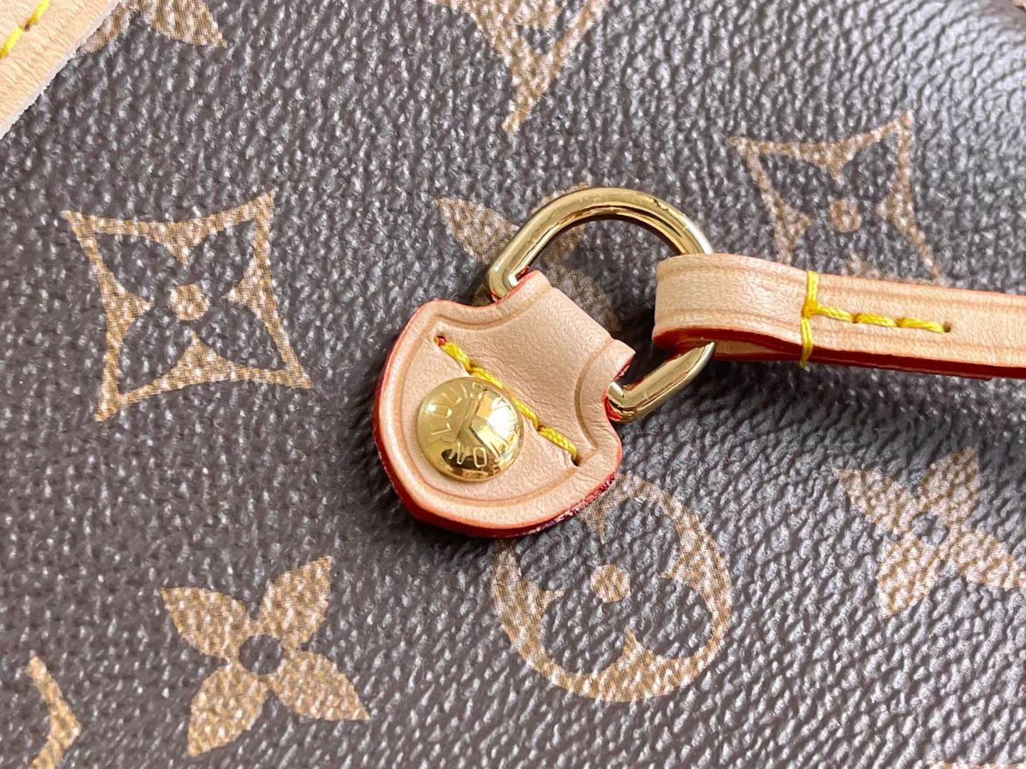 LV bag