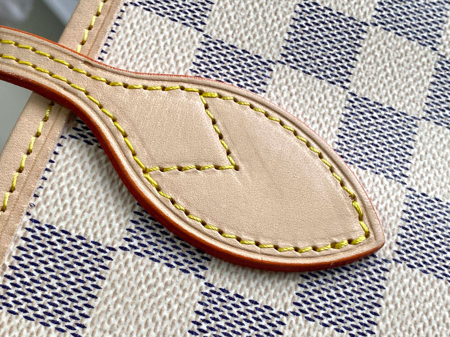 LV bag