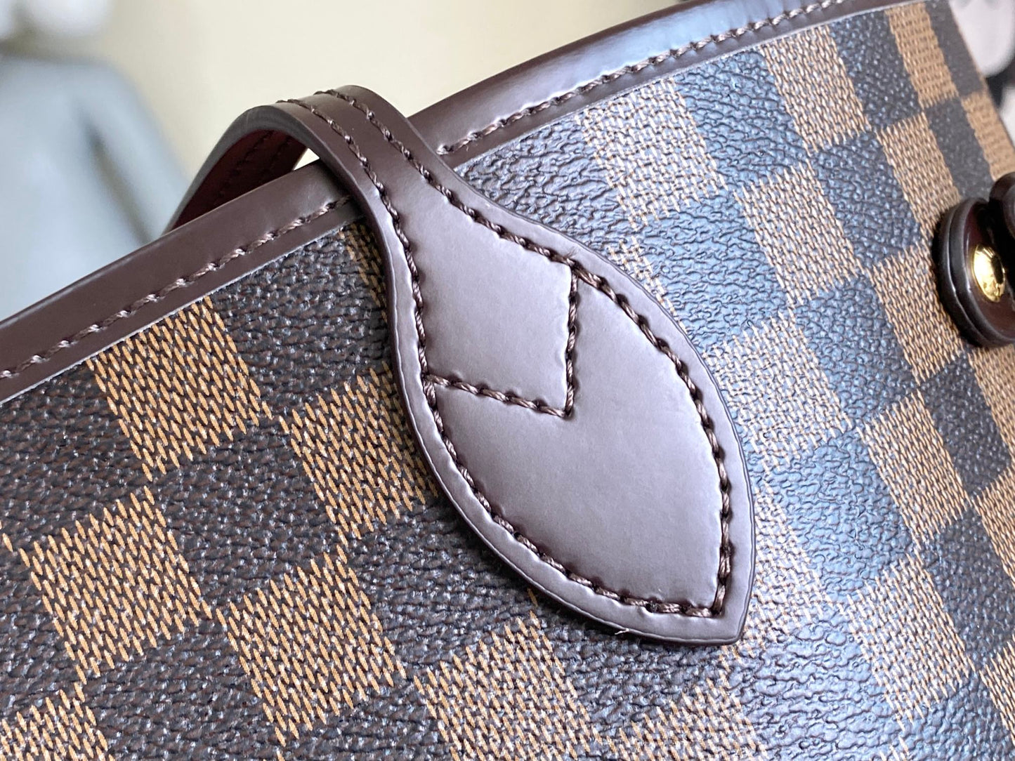 LV bag