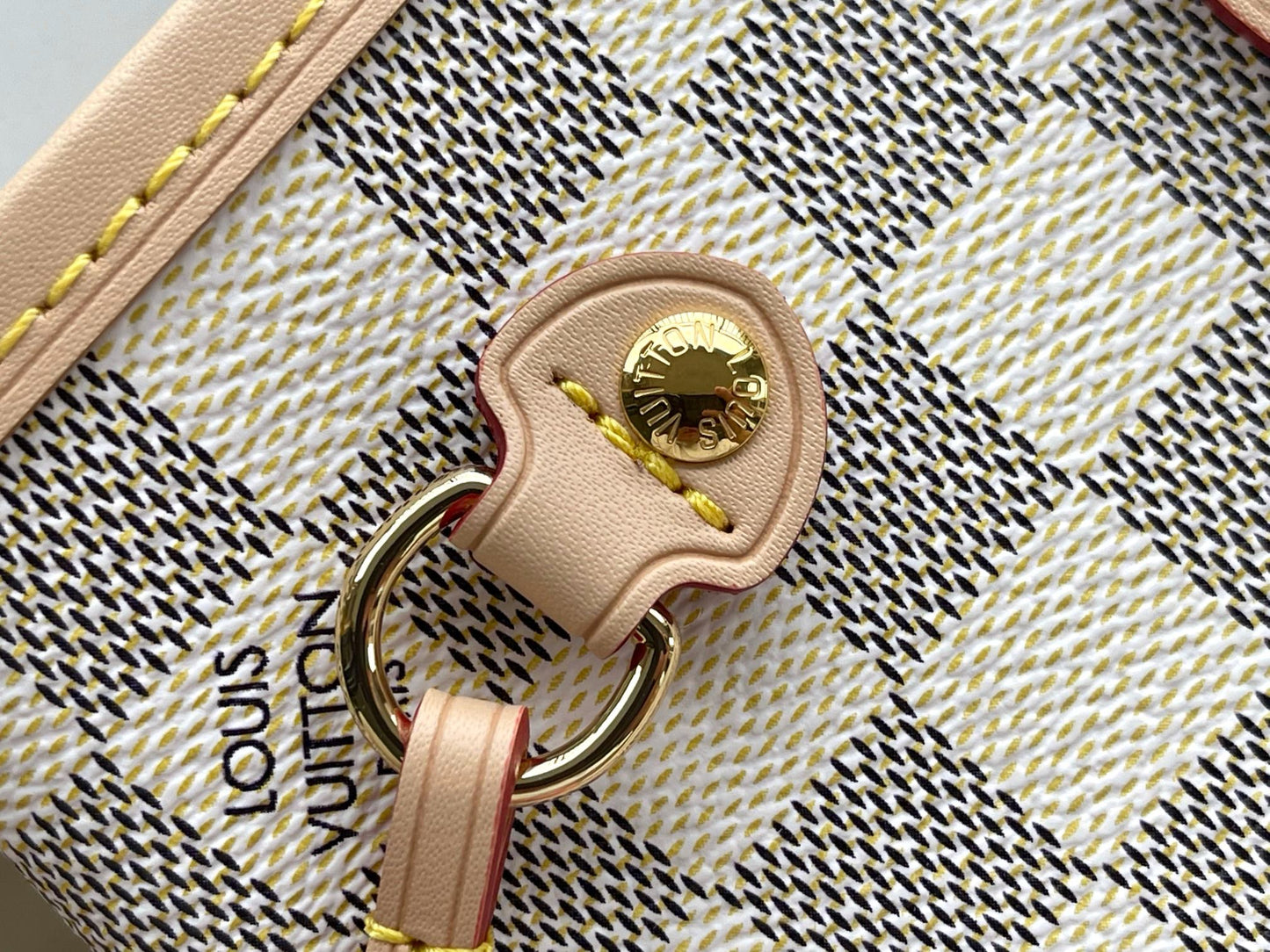 LV bag
