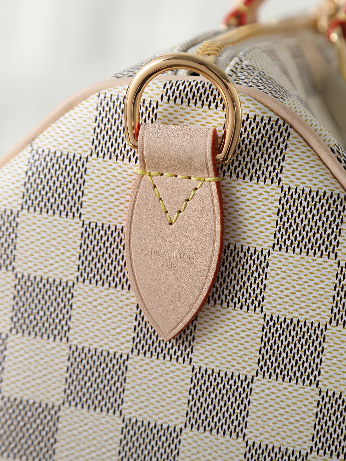LV bag