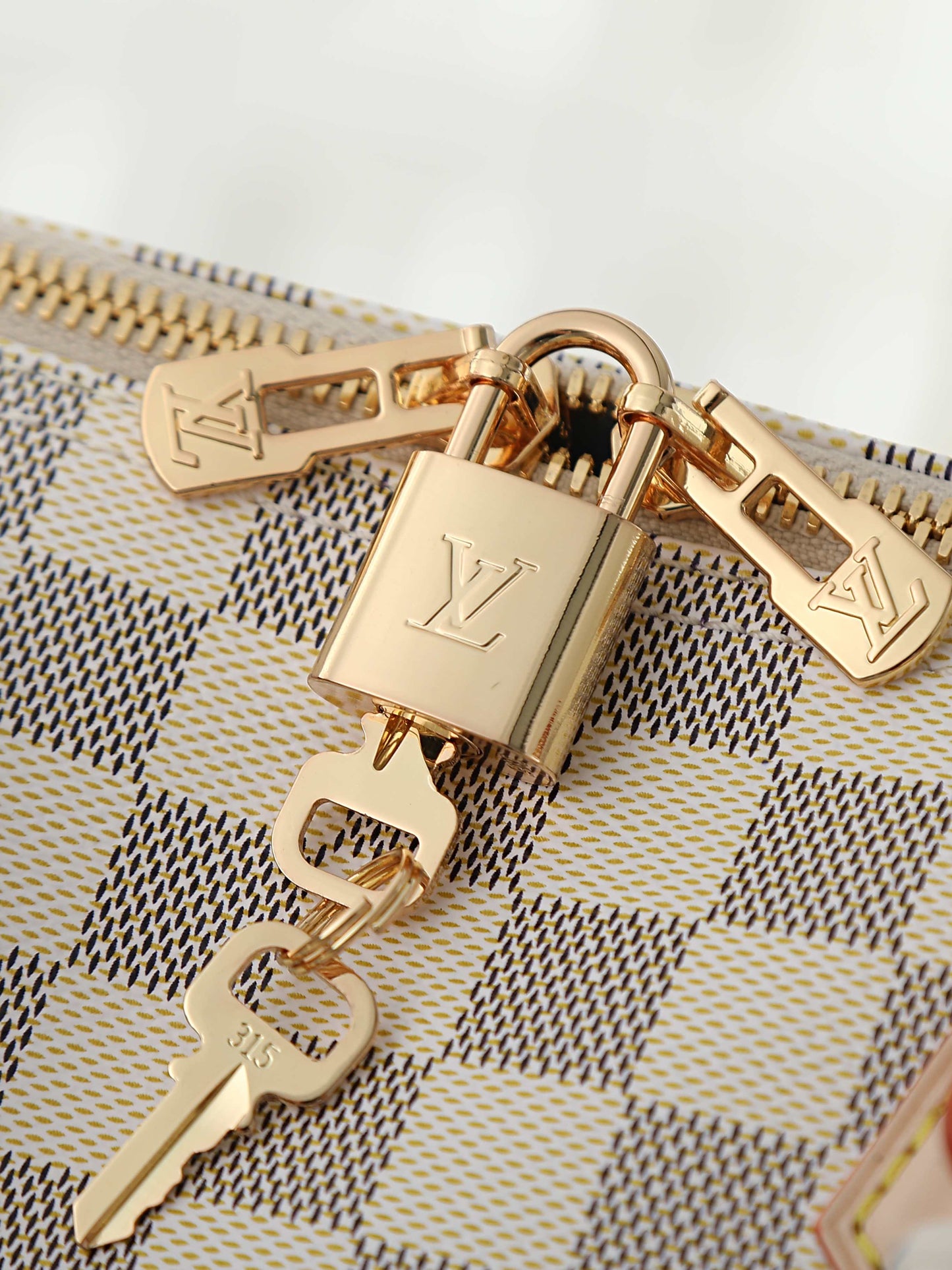 LV bag