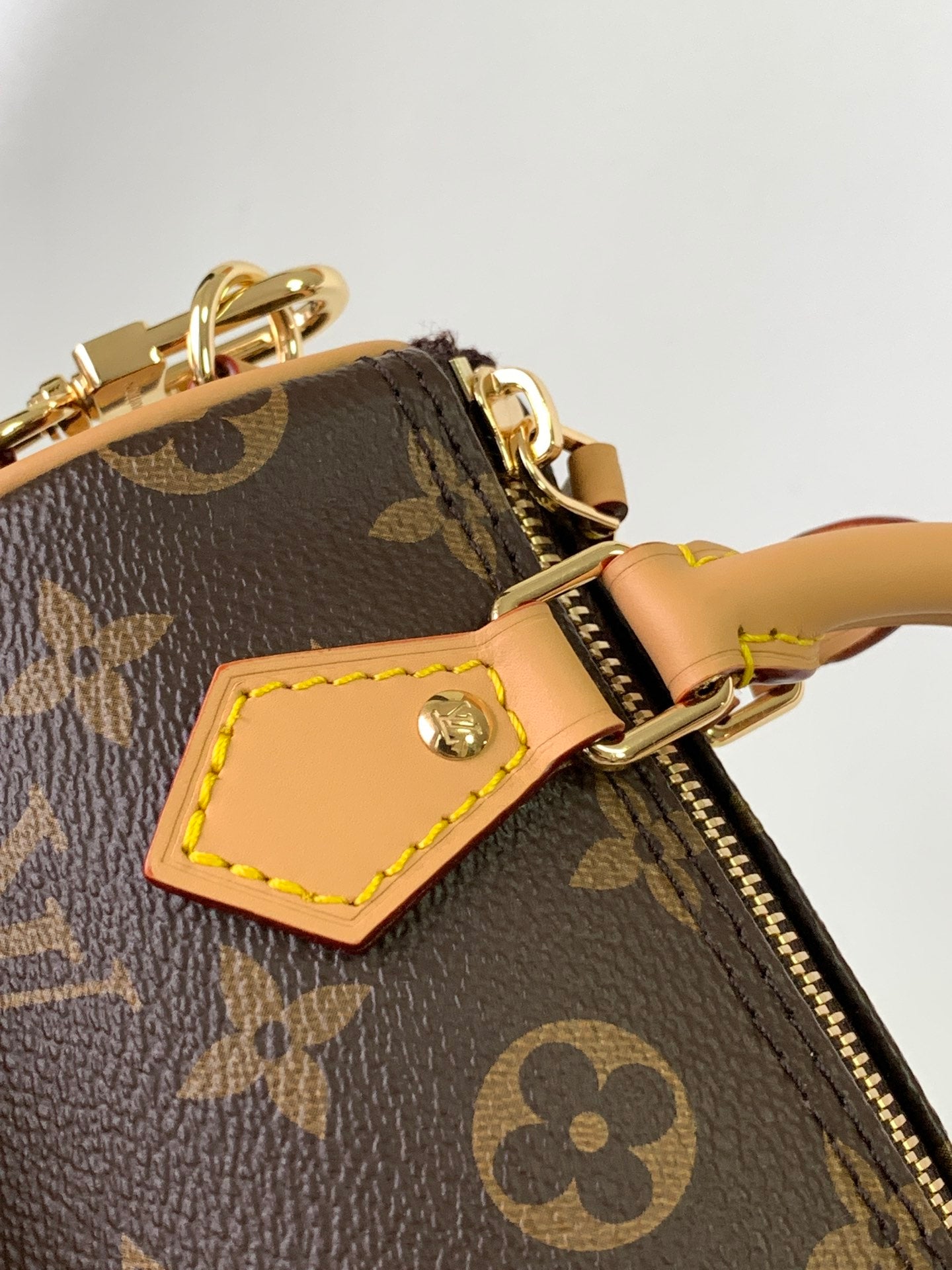 LV bag