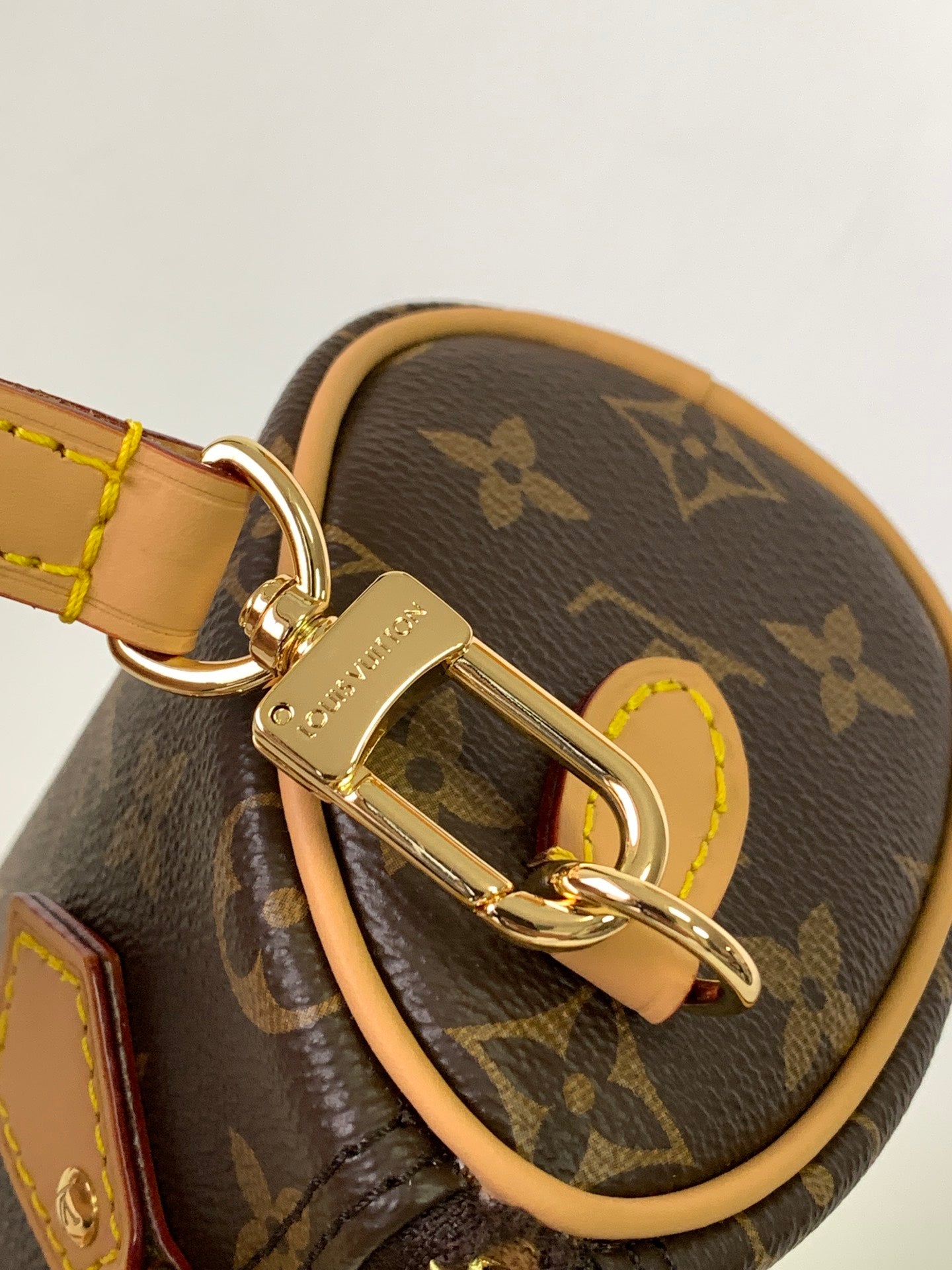 LV bag