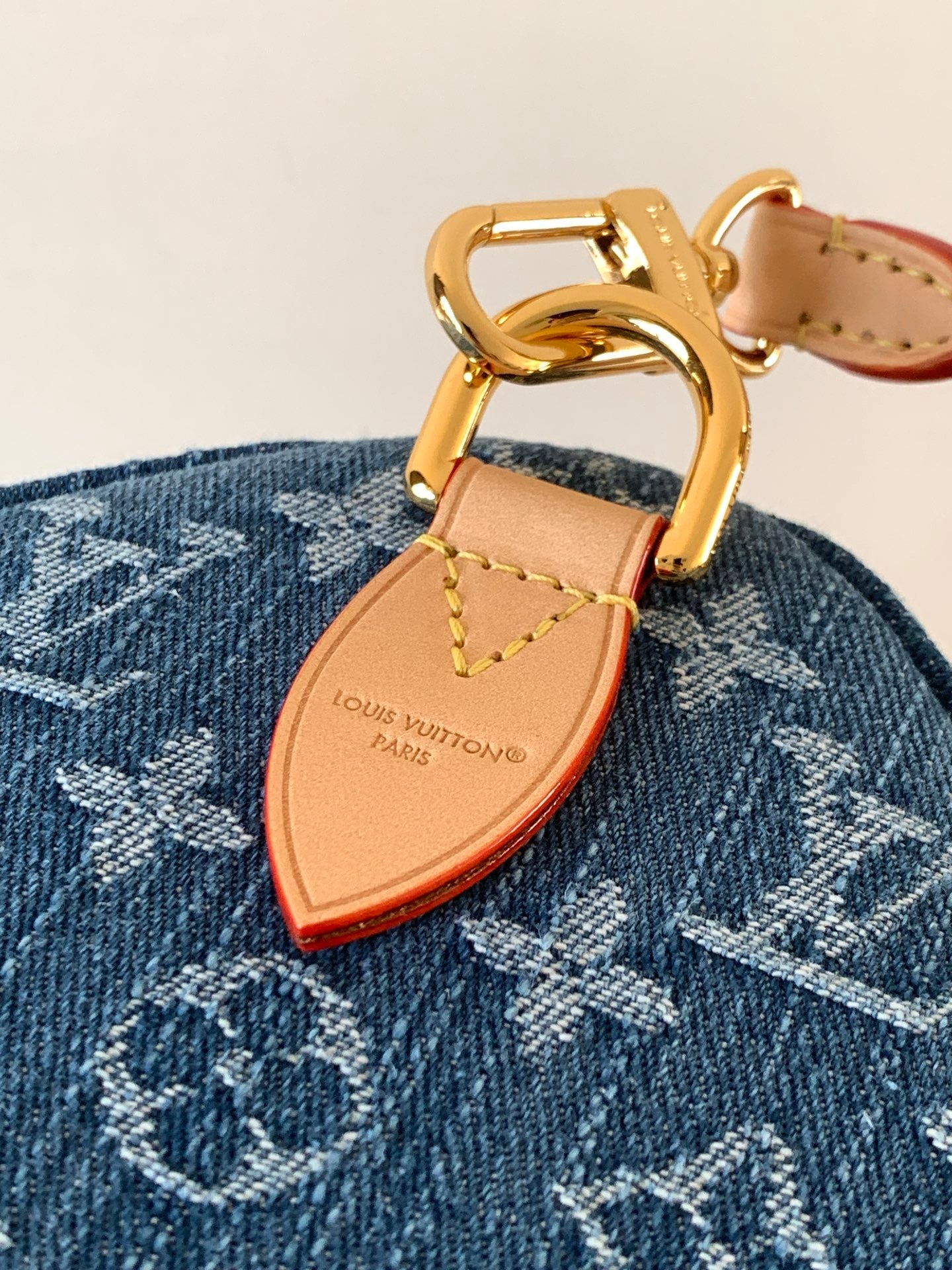 LV bag