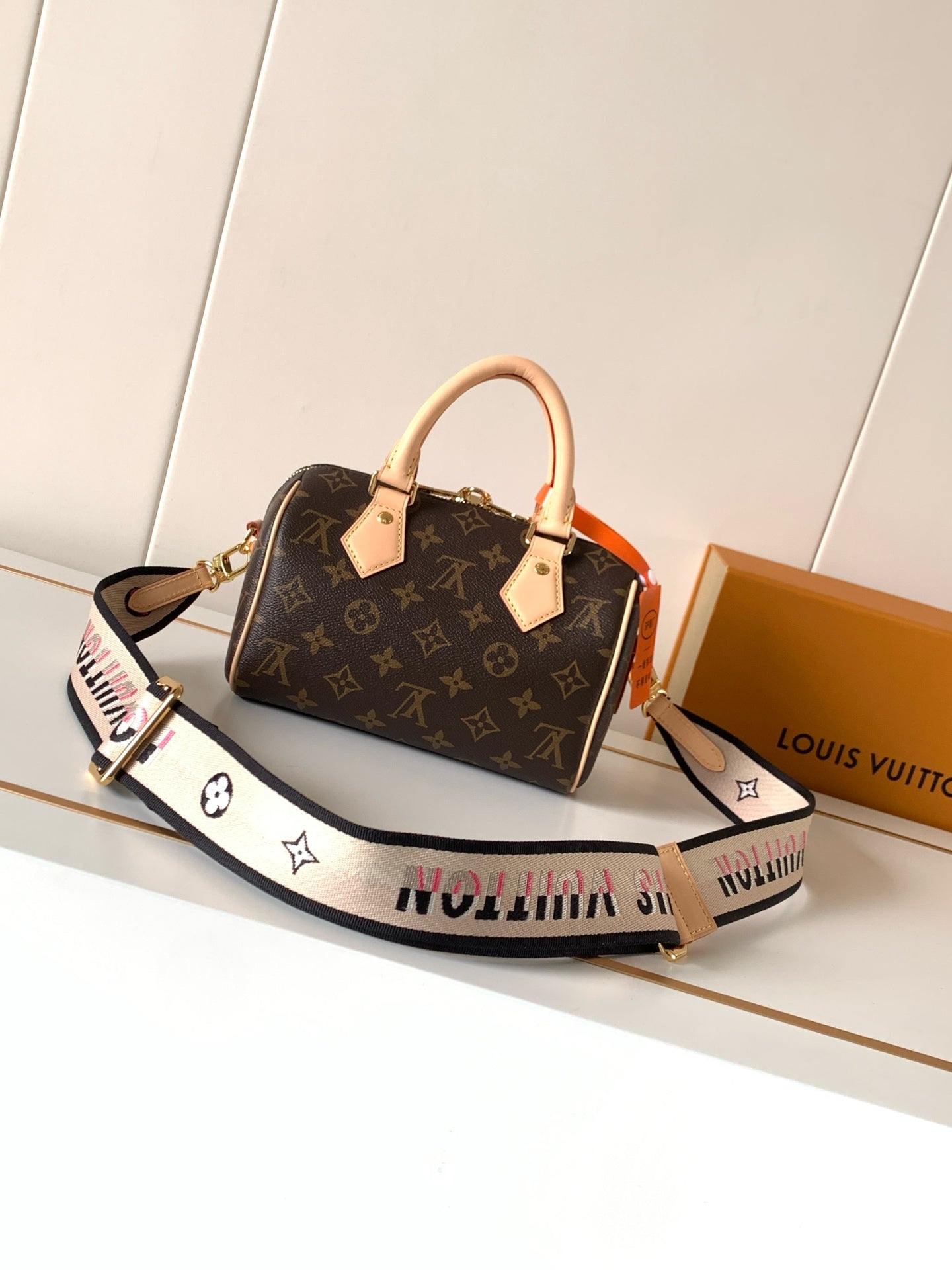LV bag
