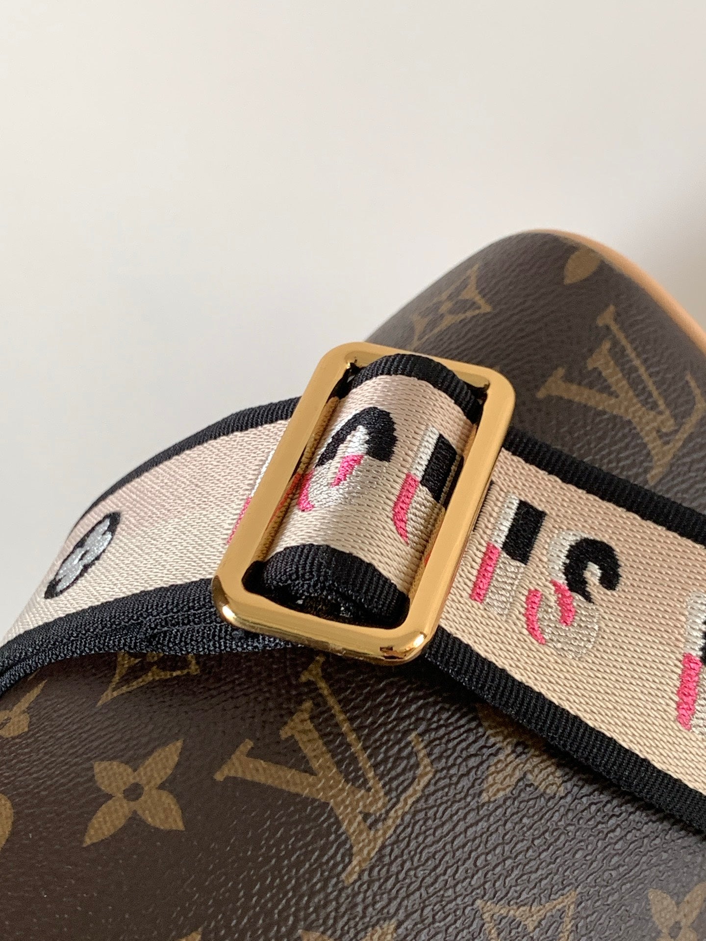 LV bag