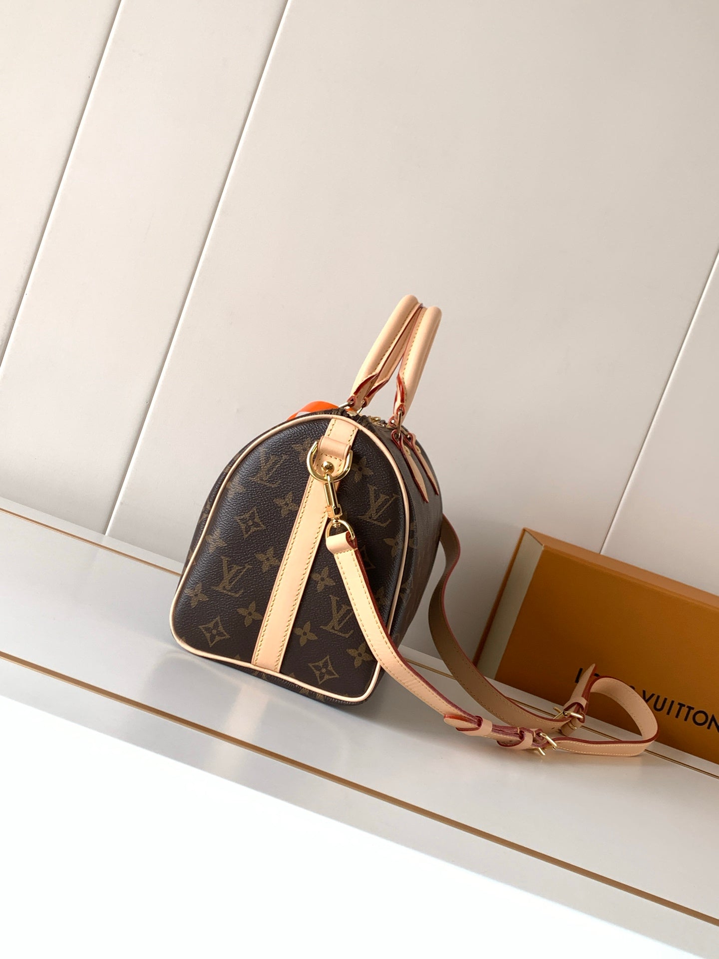 LV bag