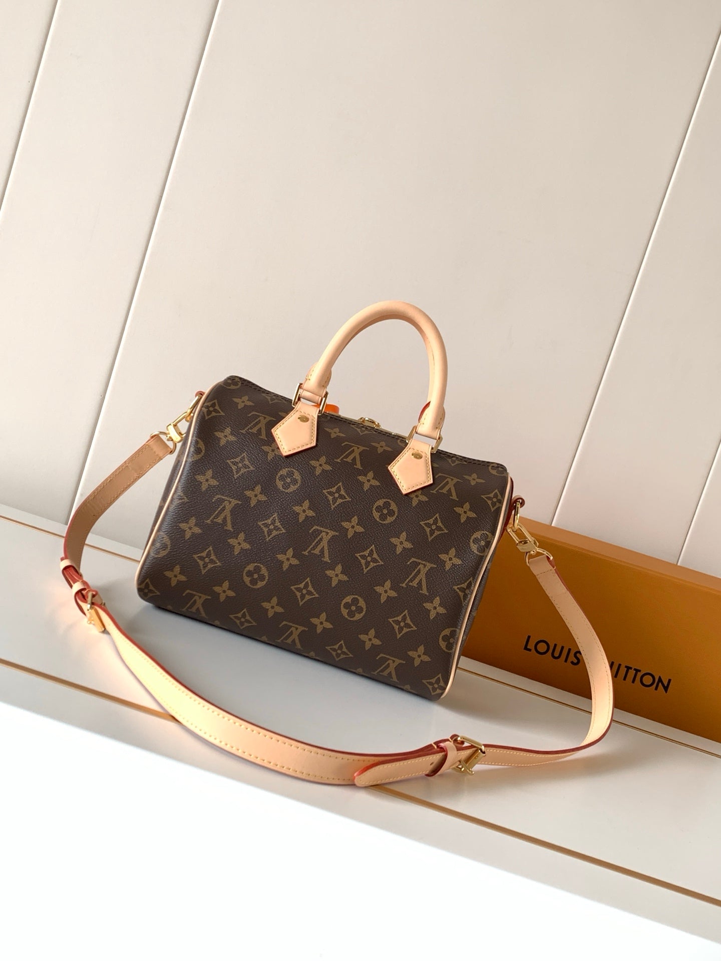 LV bag