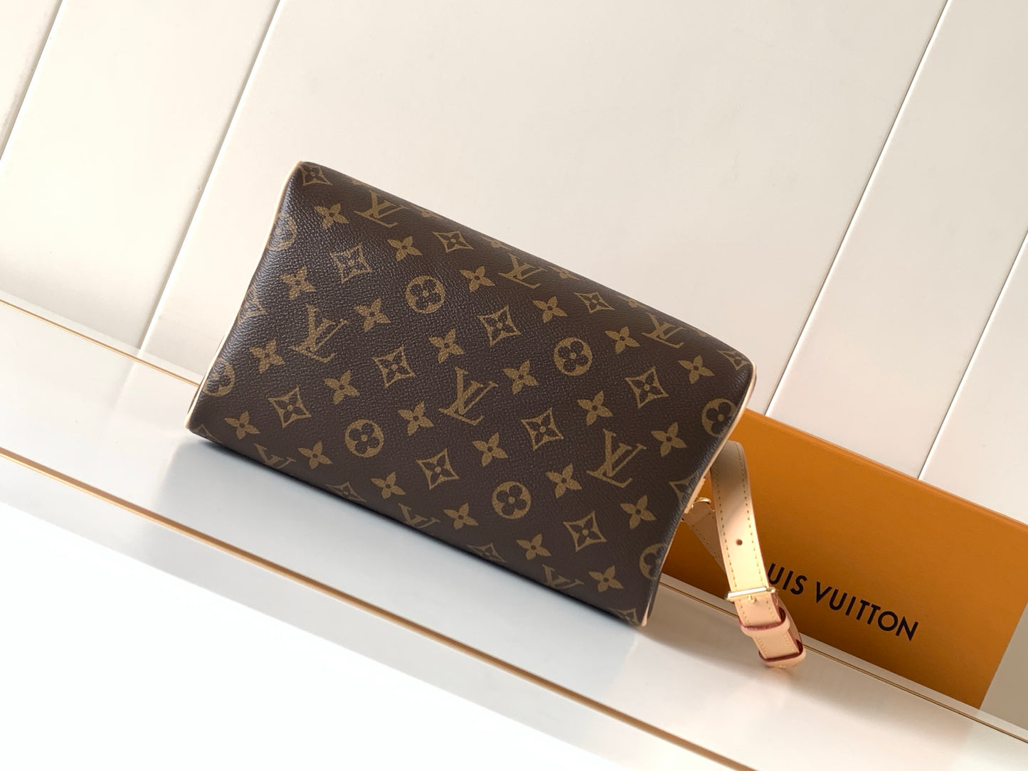 LV bag