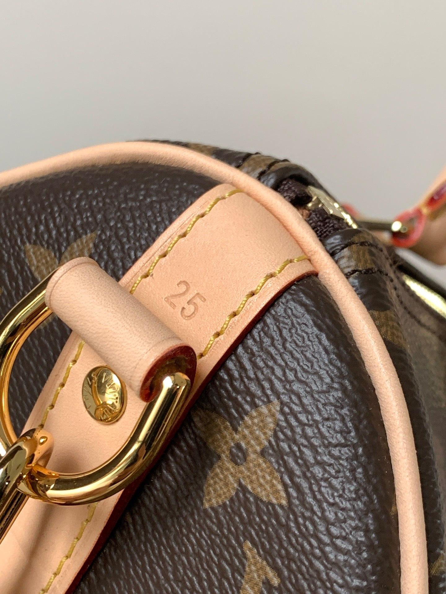 LV bag
