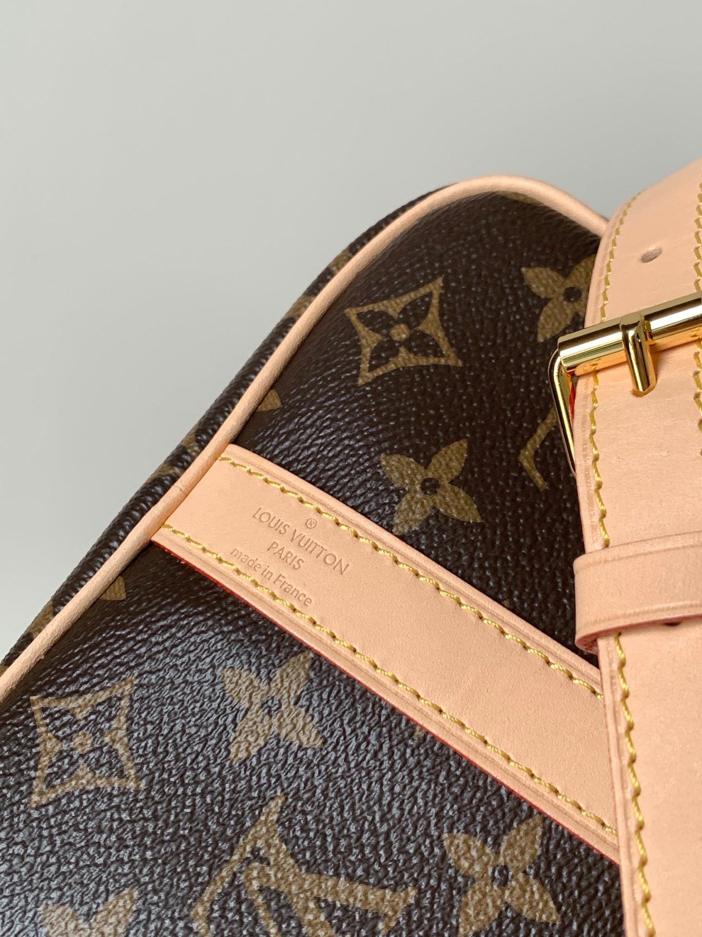 LV bag