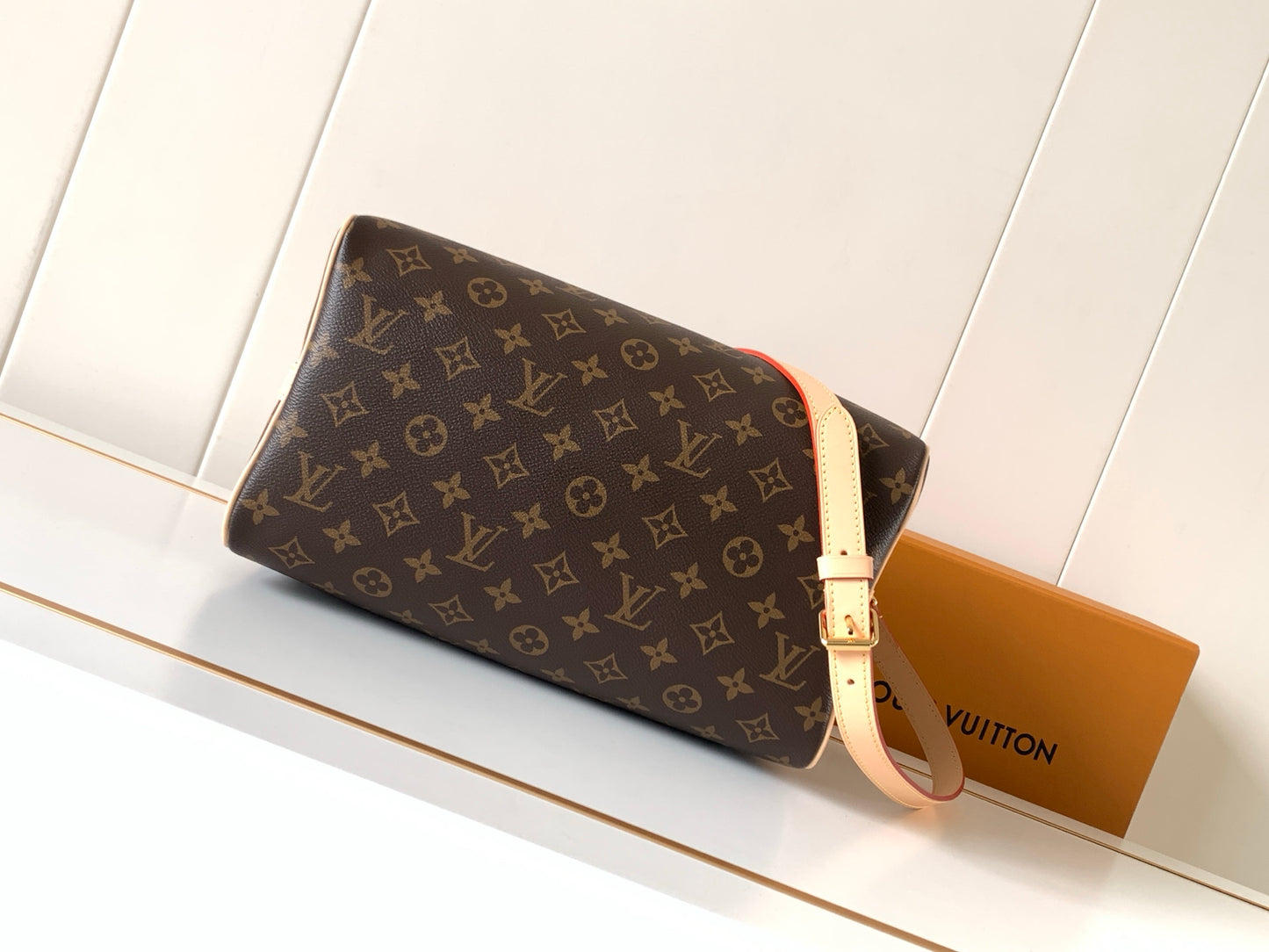 LV bag