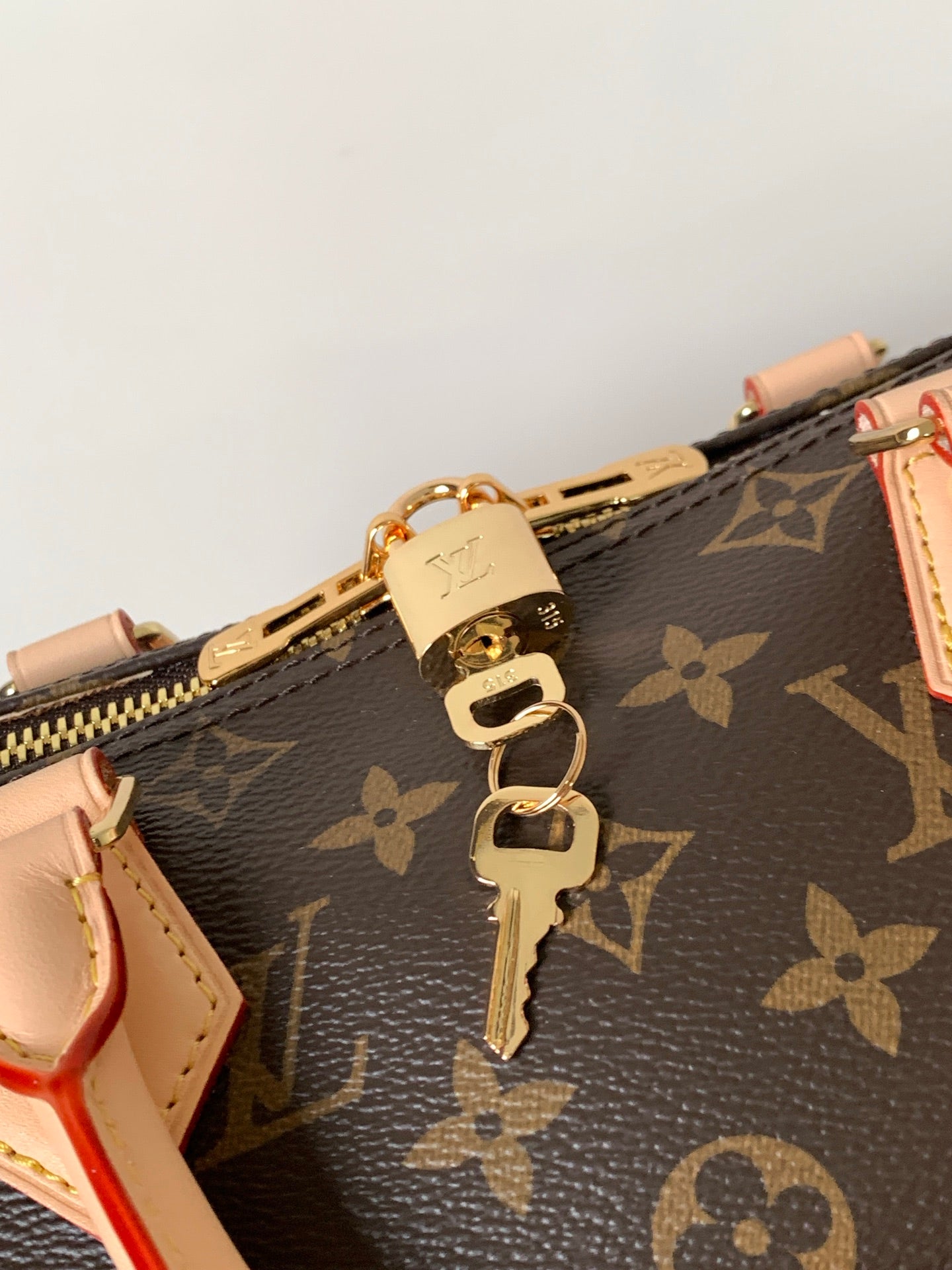 LV bag