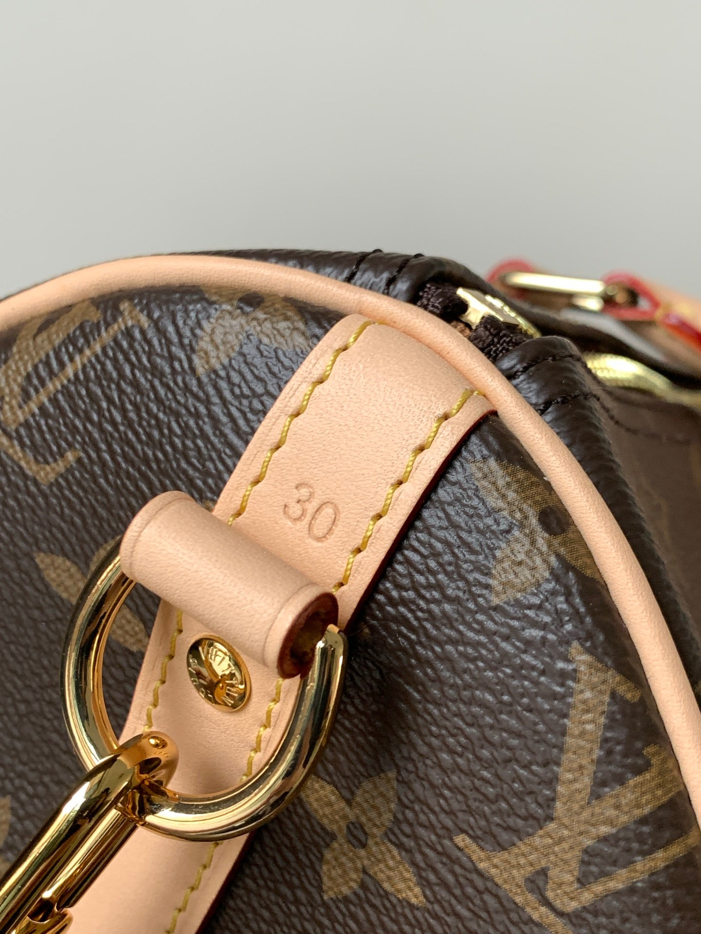 LV bag