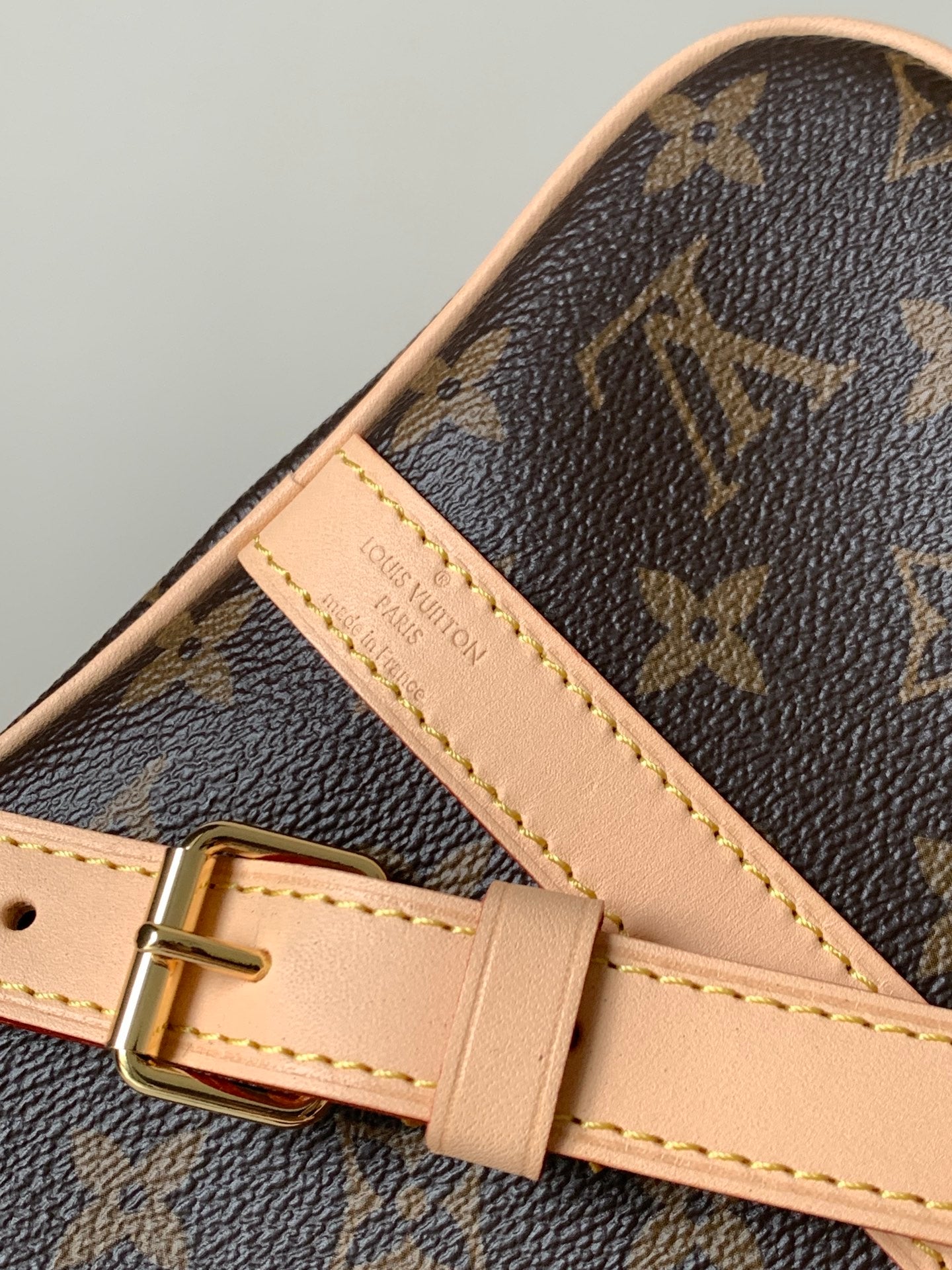 LV bag