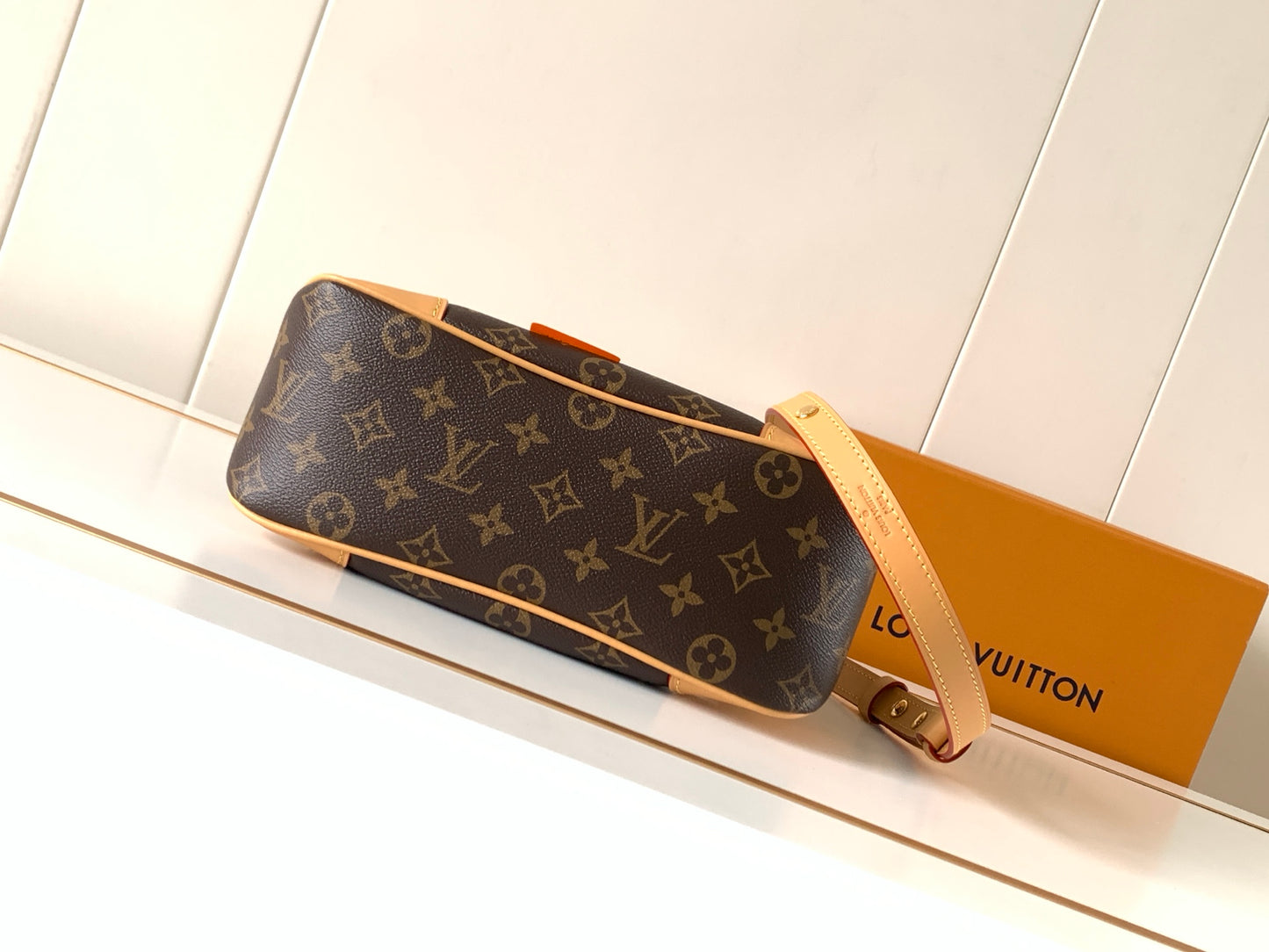 LV bag