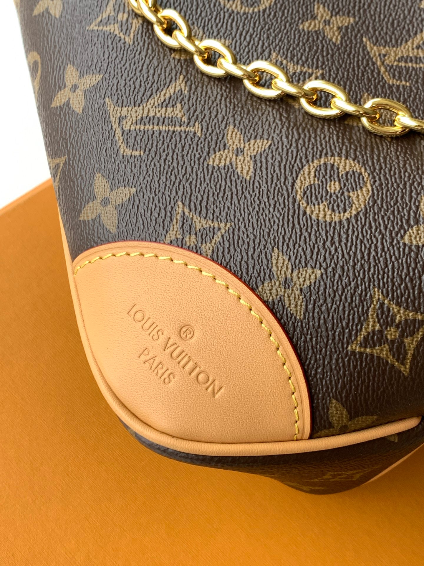 LV bag