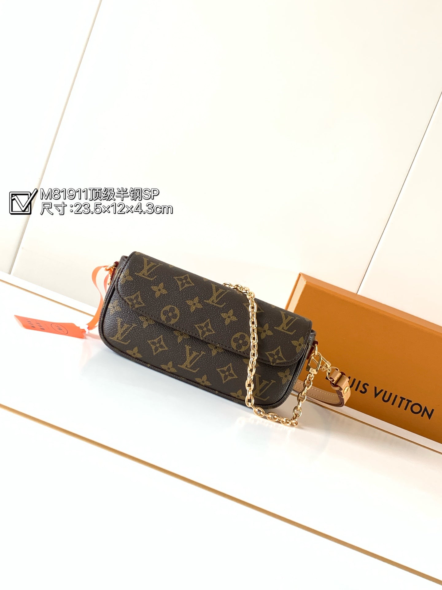 LV bag