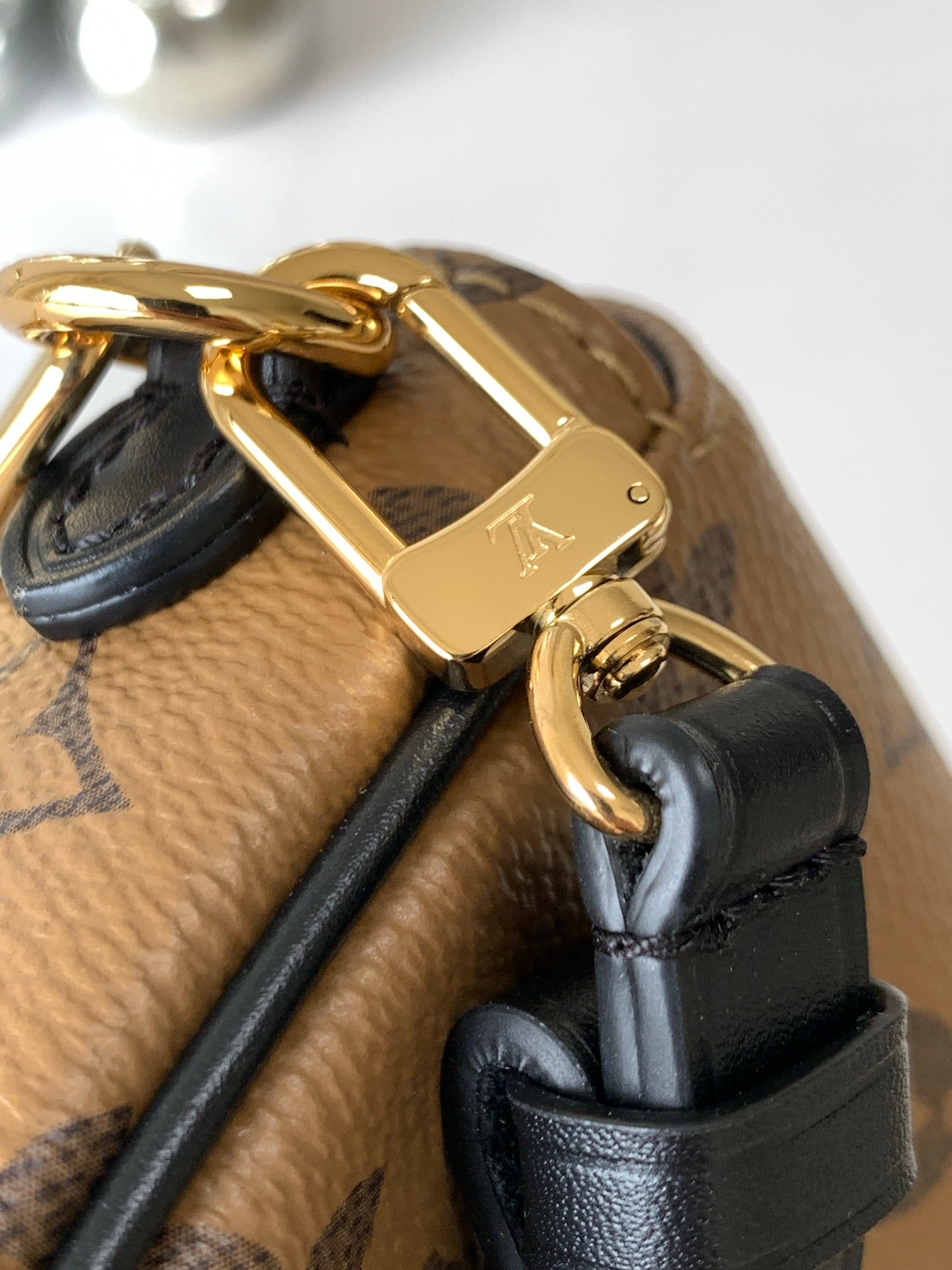 LV bag