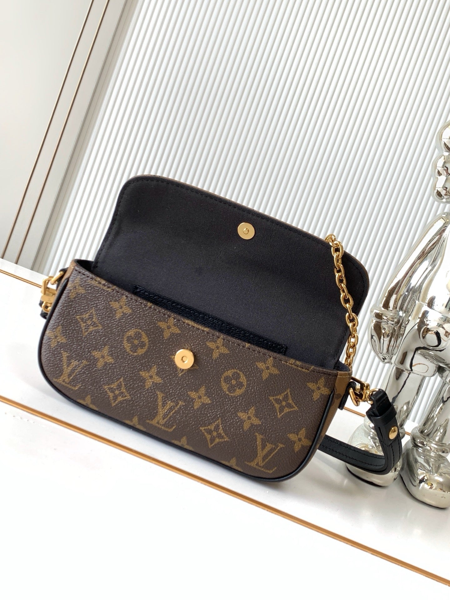 LV bag