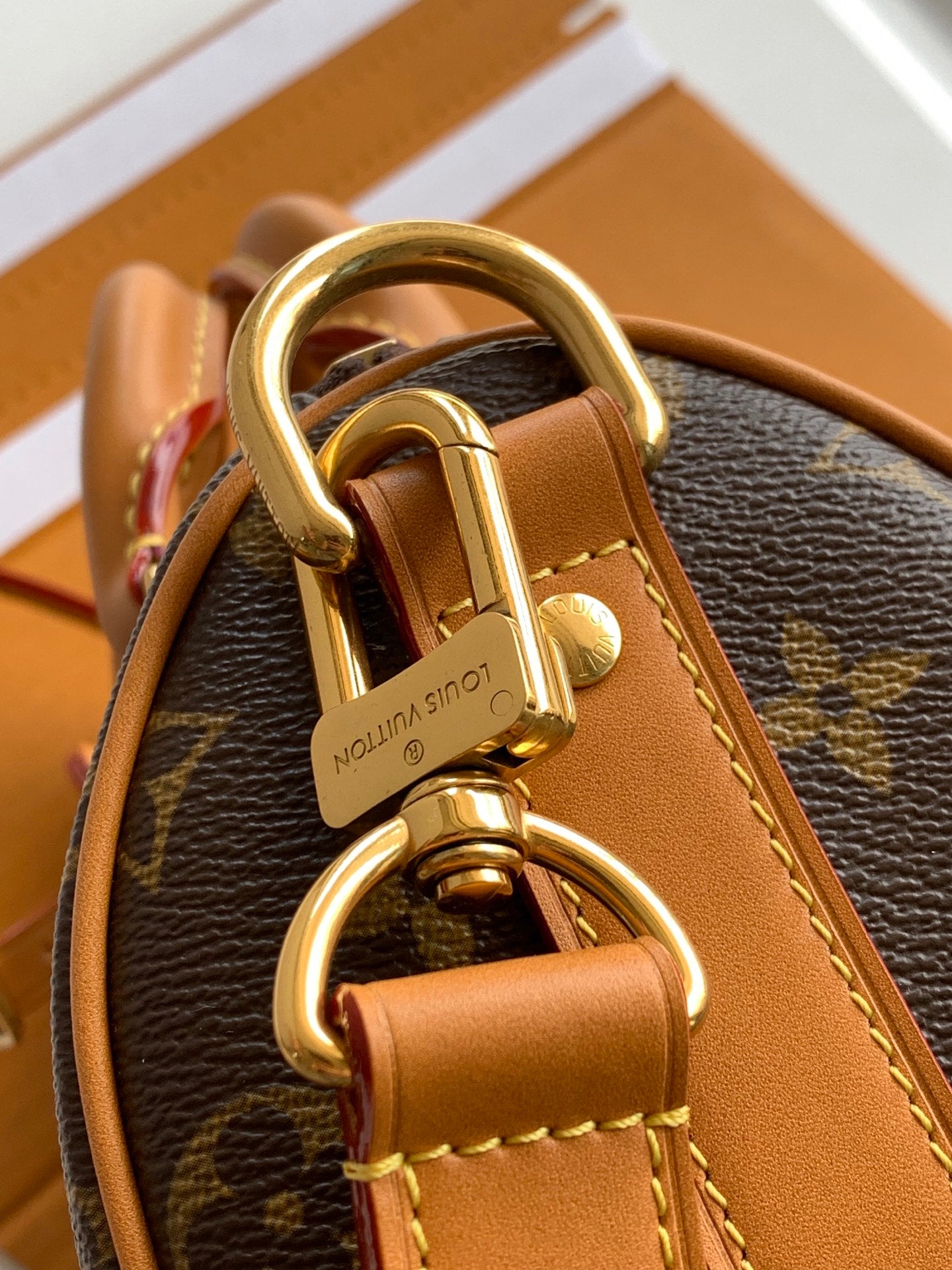 LV bag