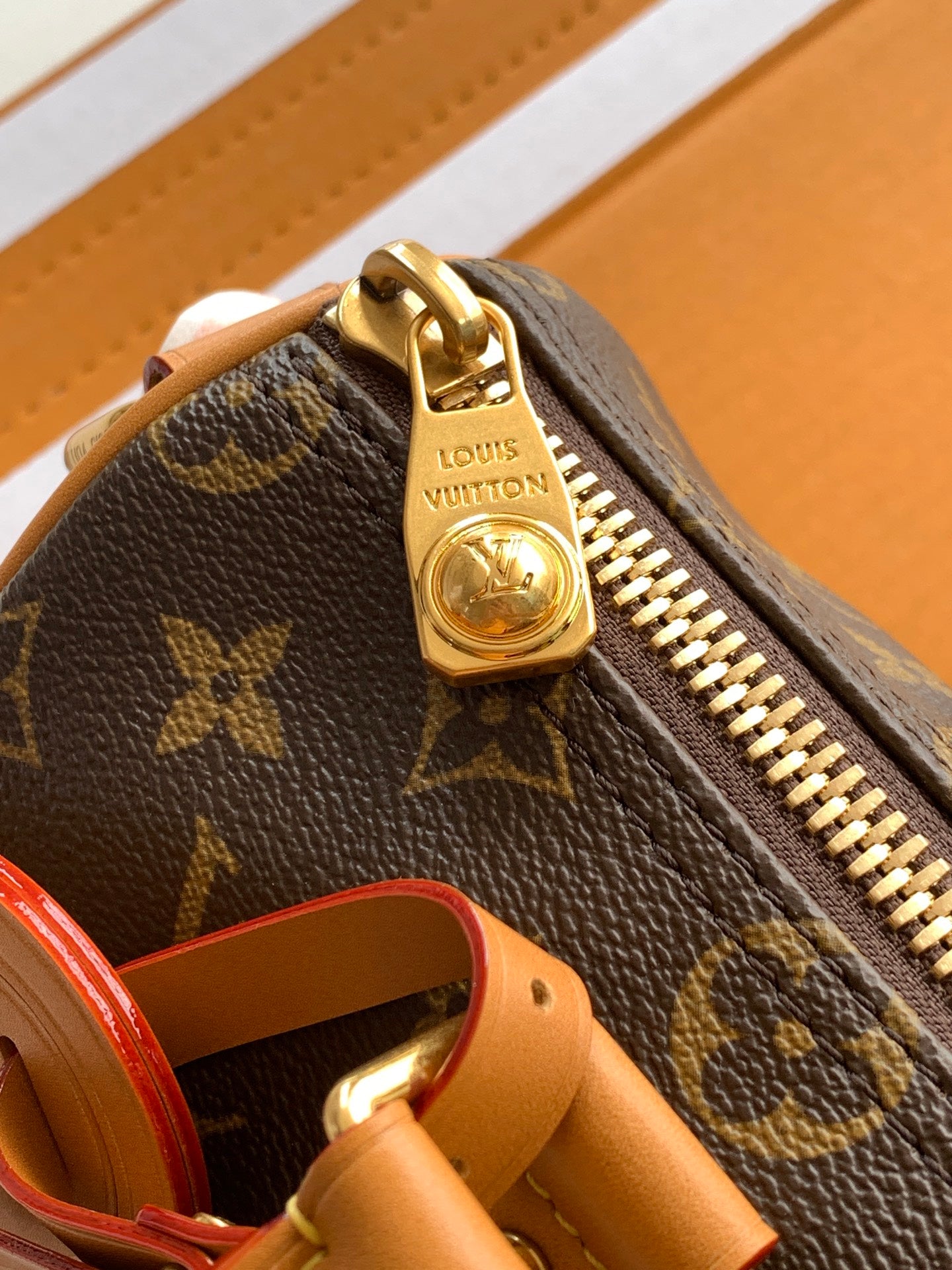LV bag