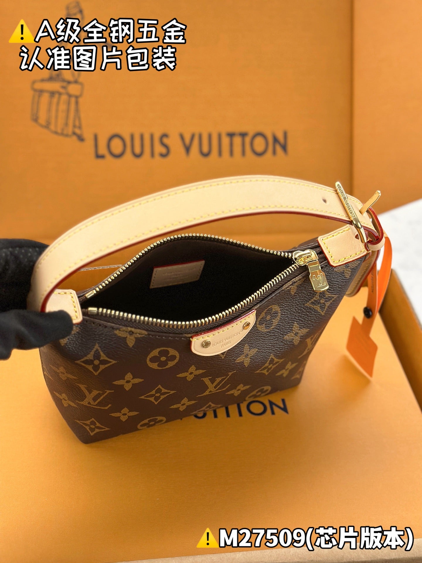 LV bag