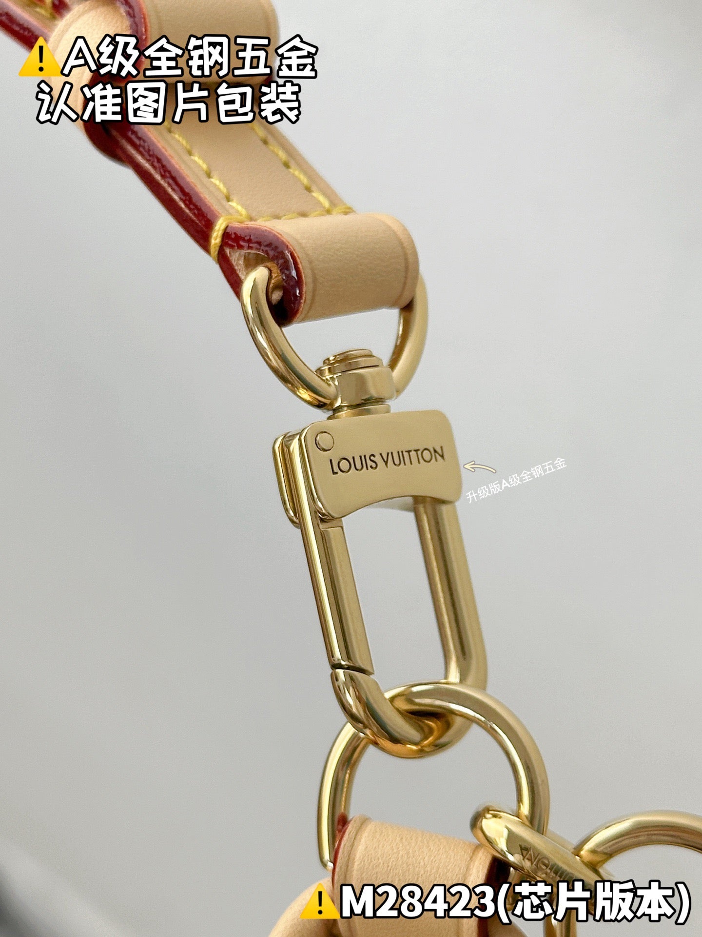 LV bag