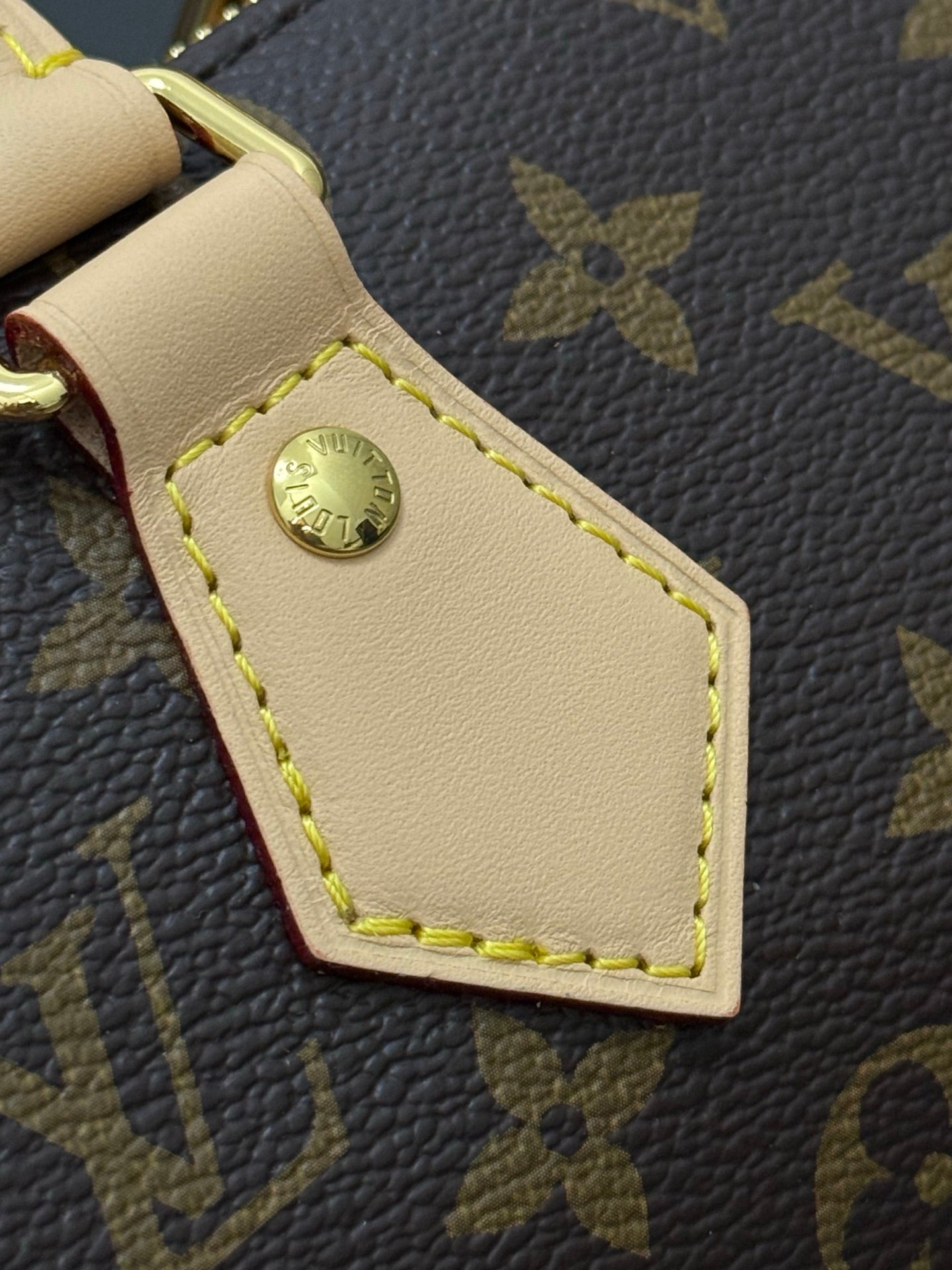 LV bag