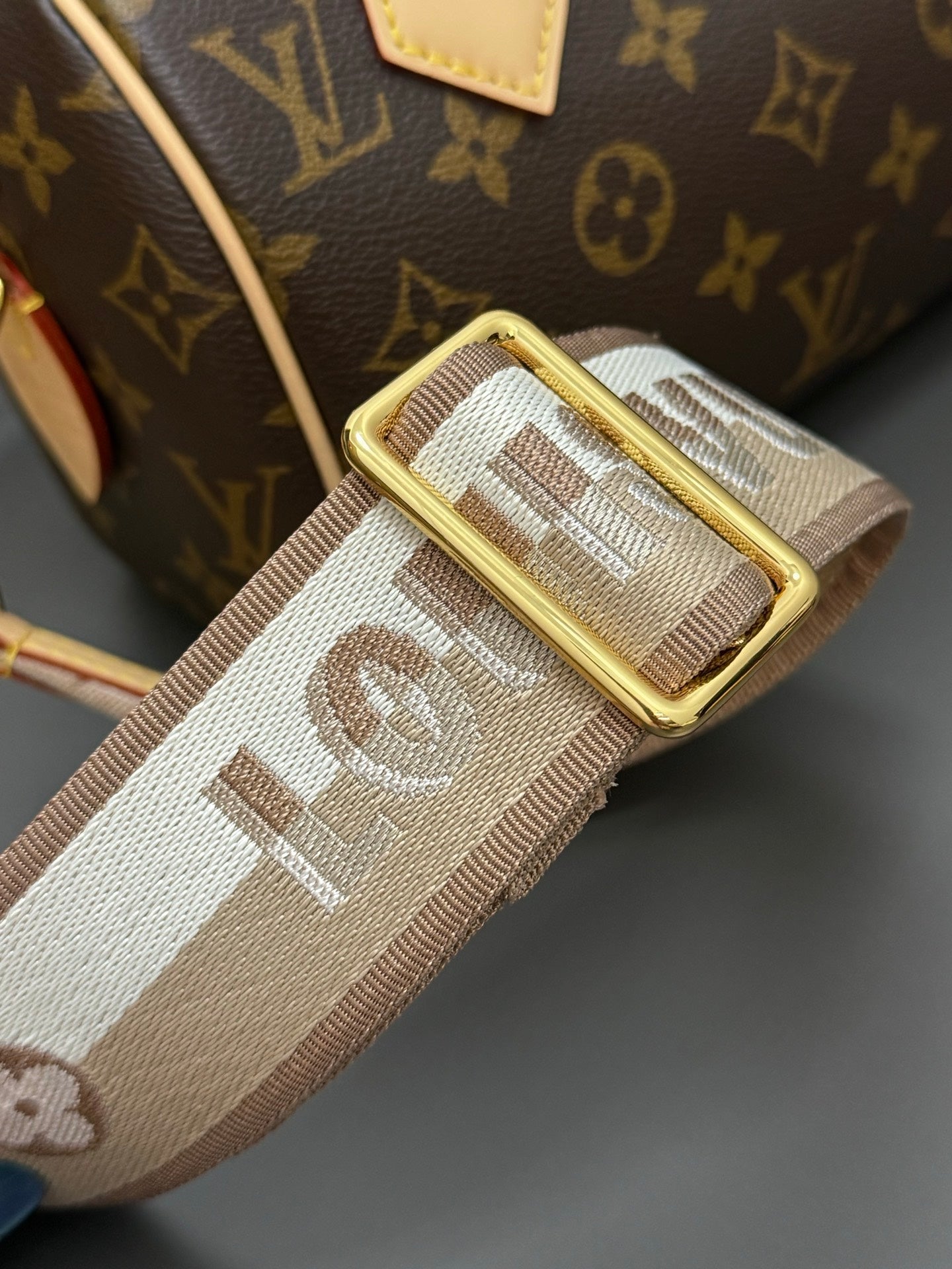 LV bag