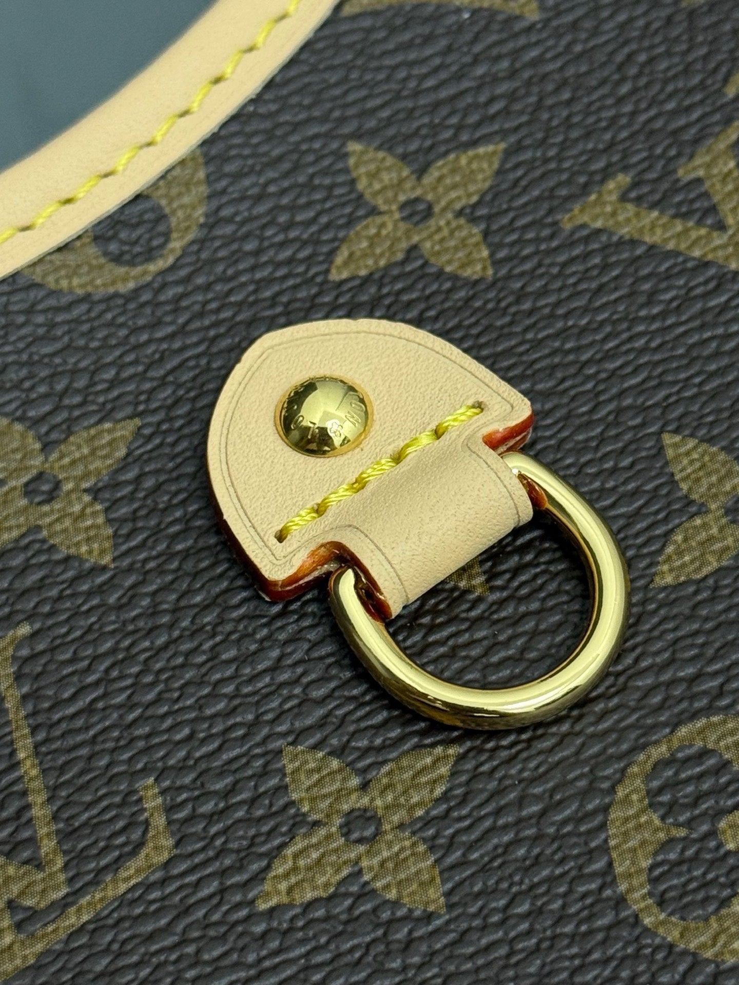 LV bag