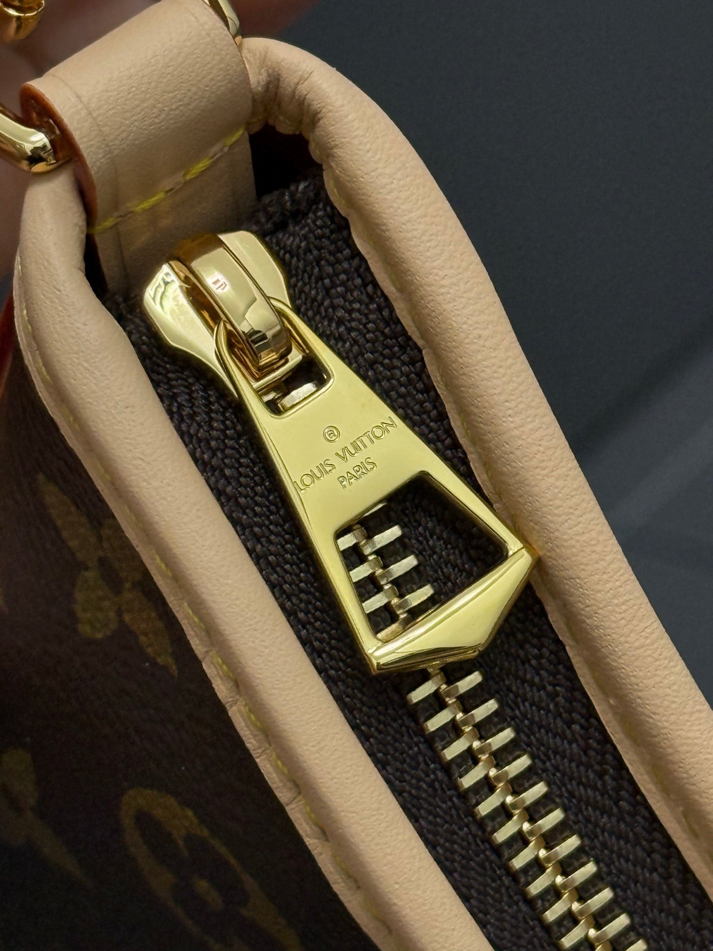 LV bag