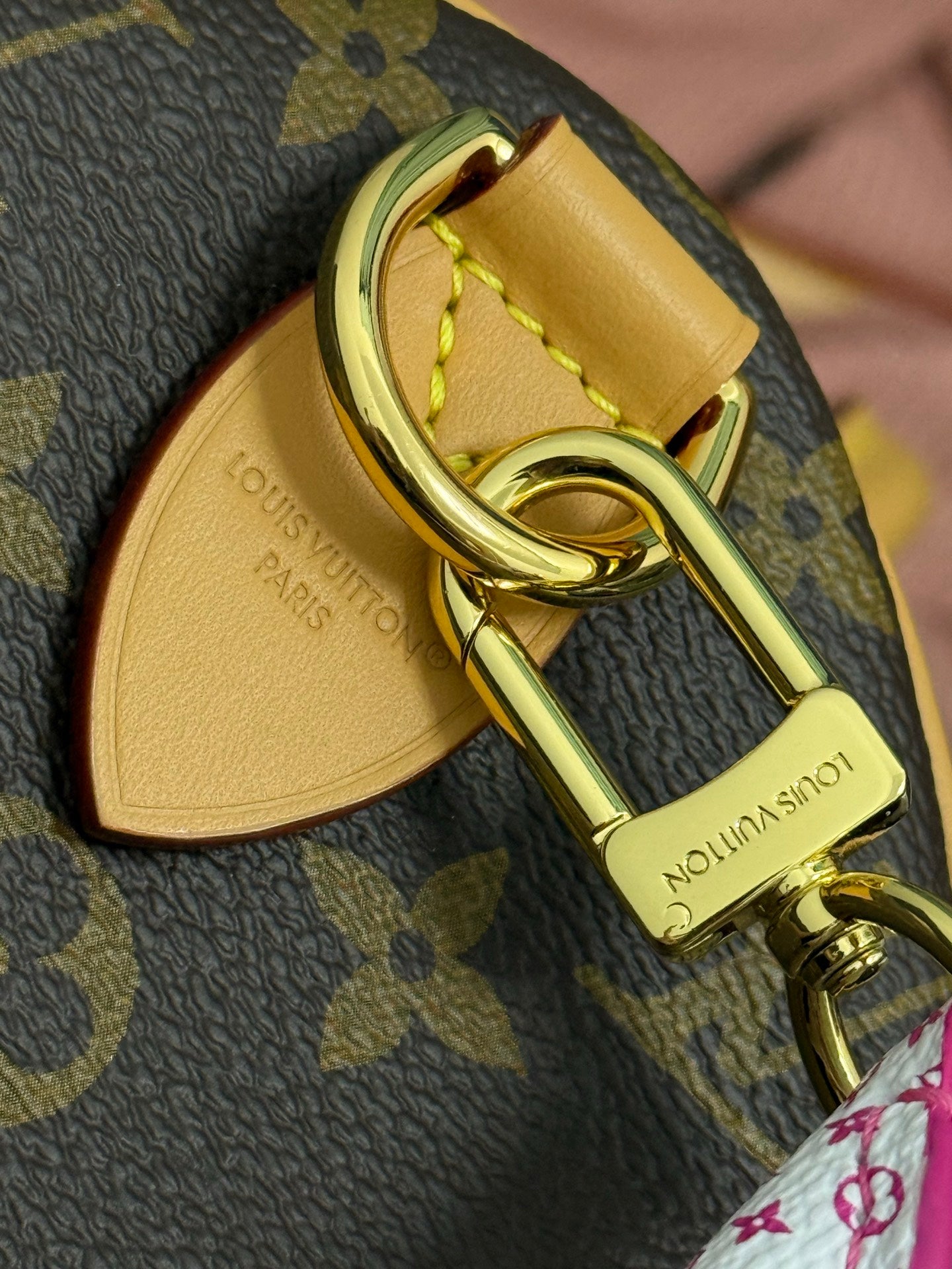 LV bag