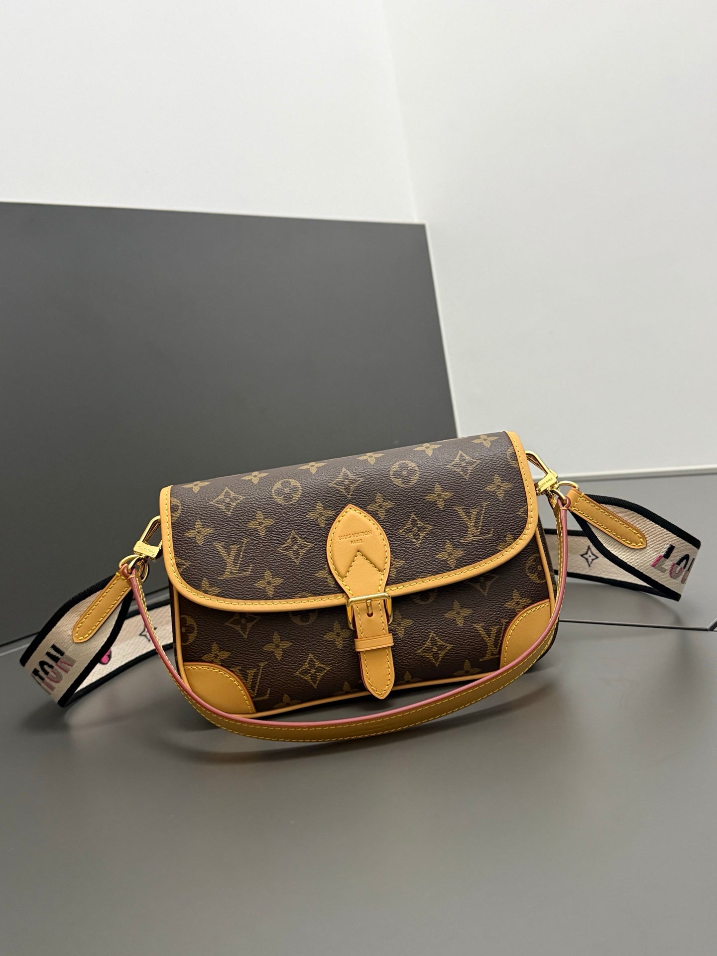 LV bag