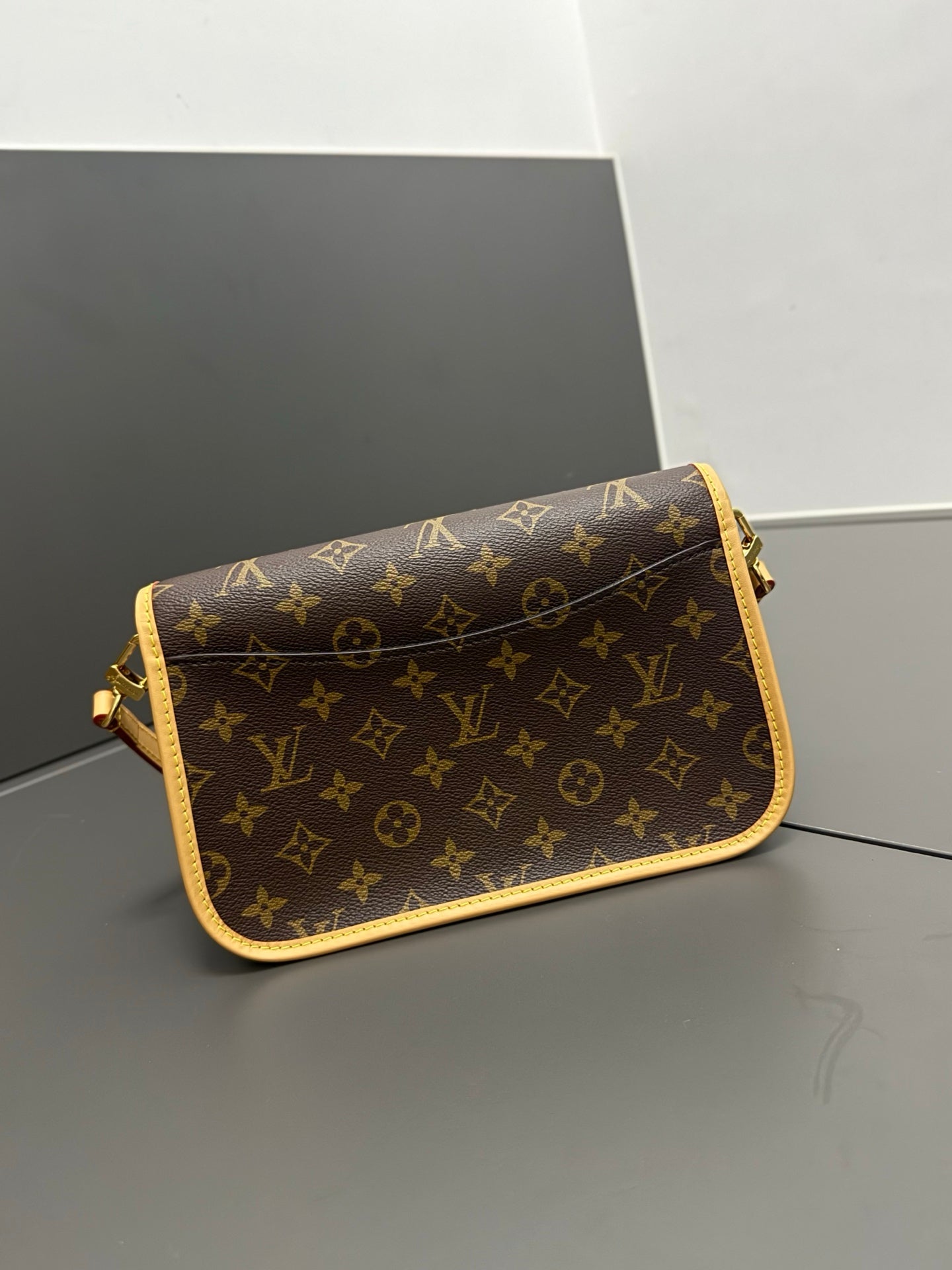 LV bag