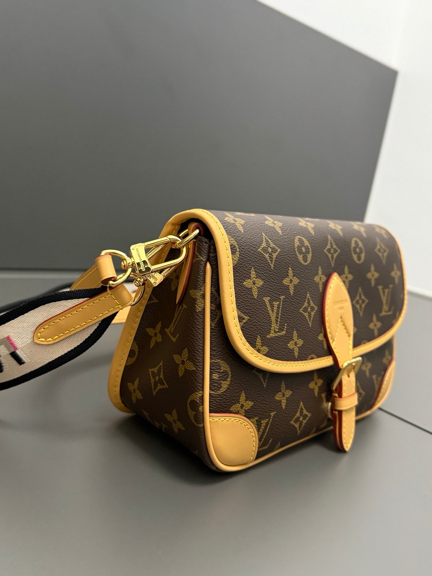 LV bag