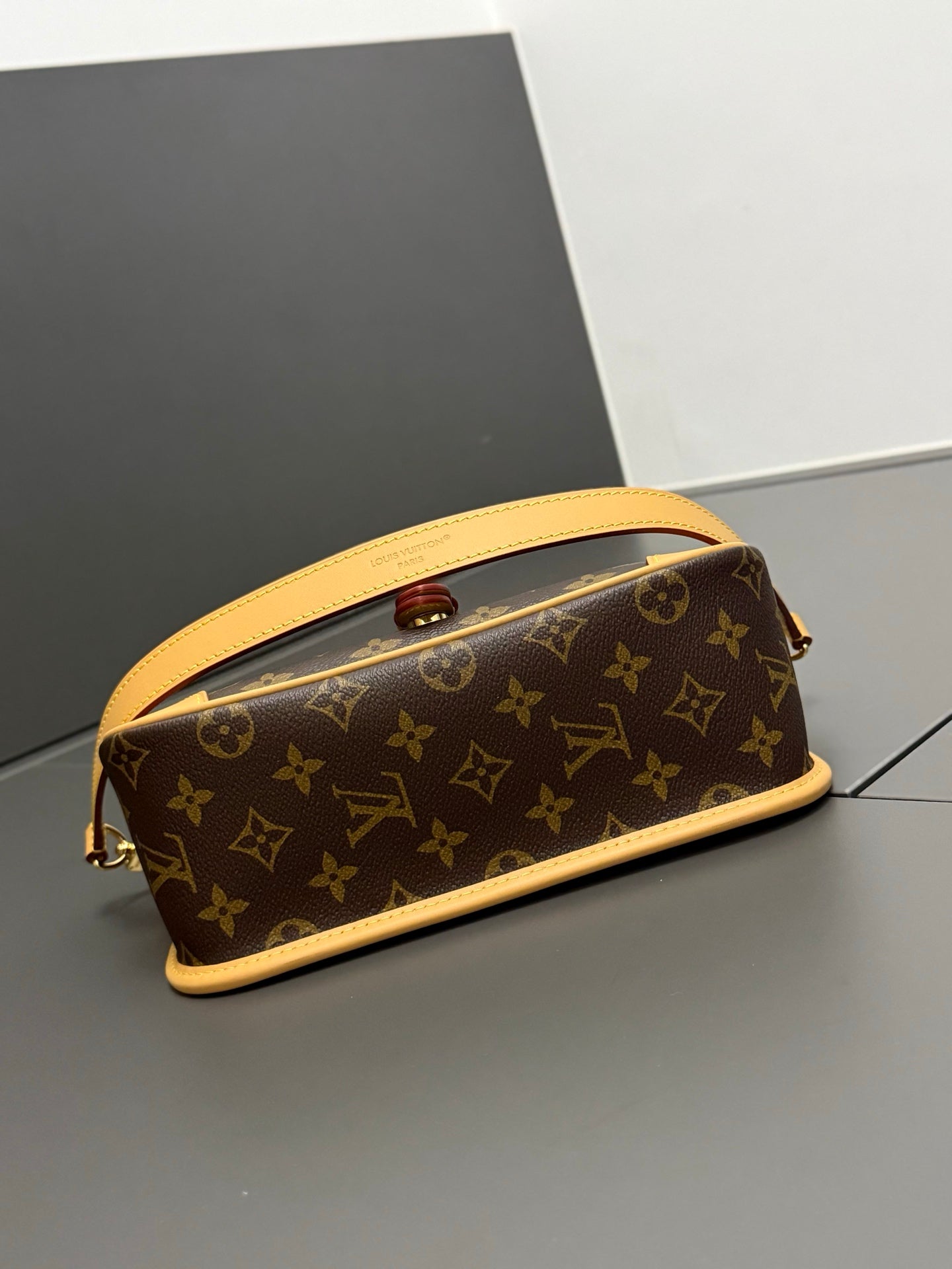 LV bag