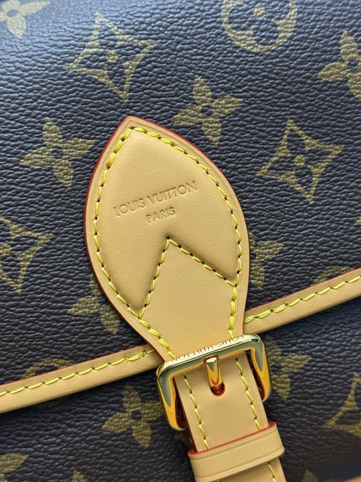 LV bag