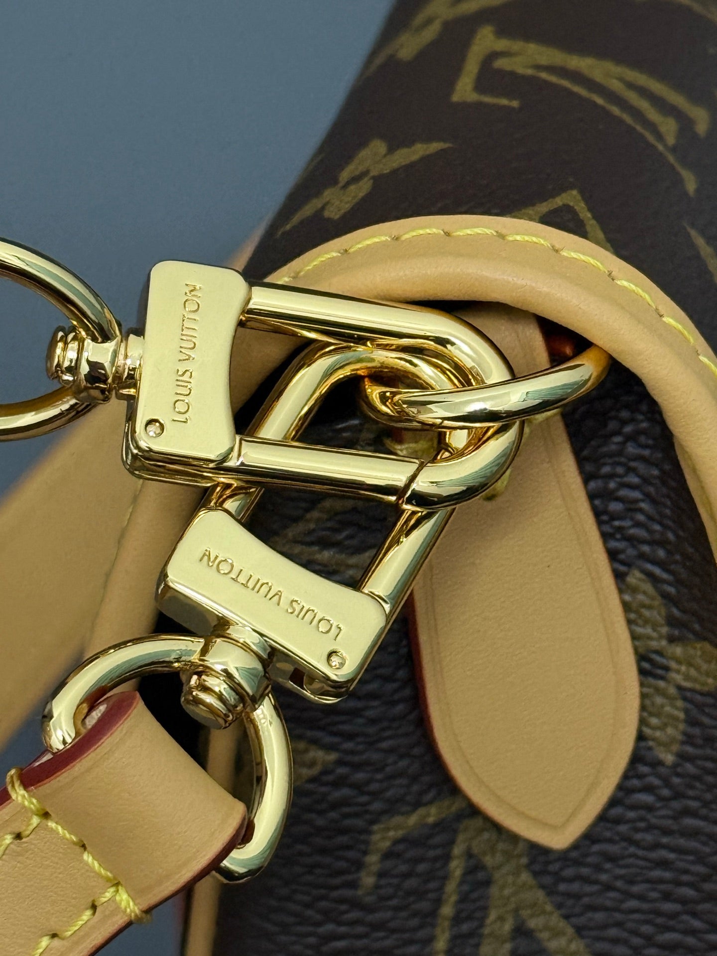 LV bag