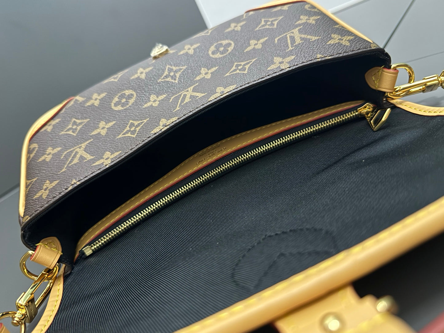 LV bag