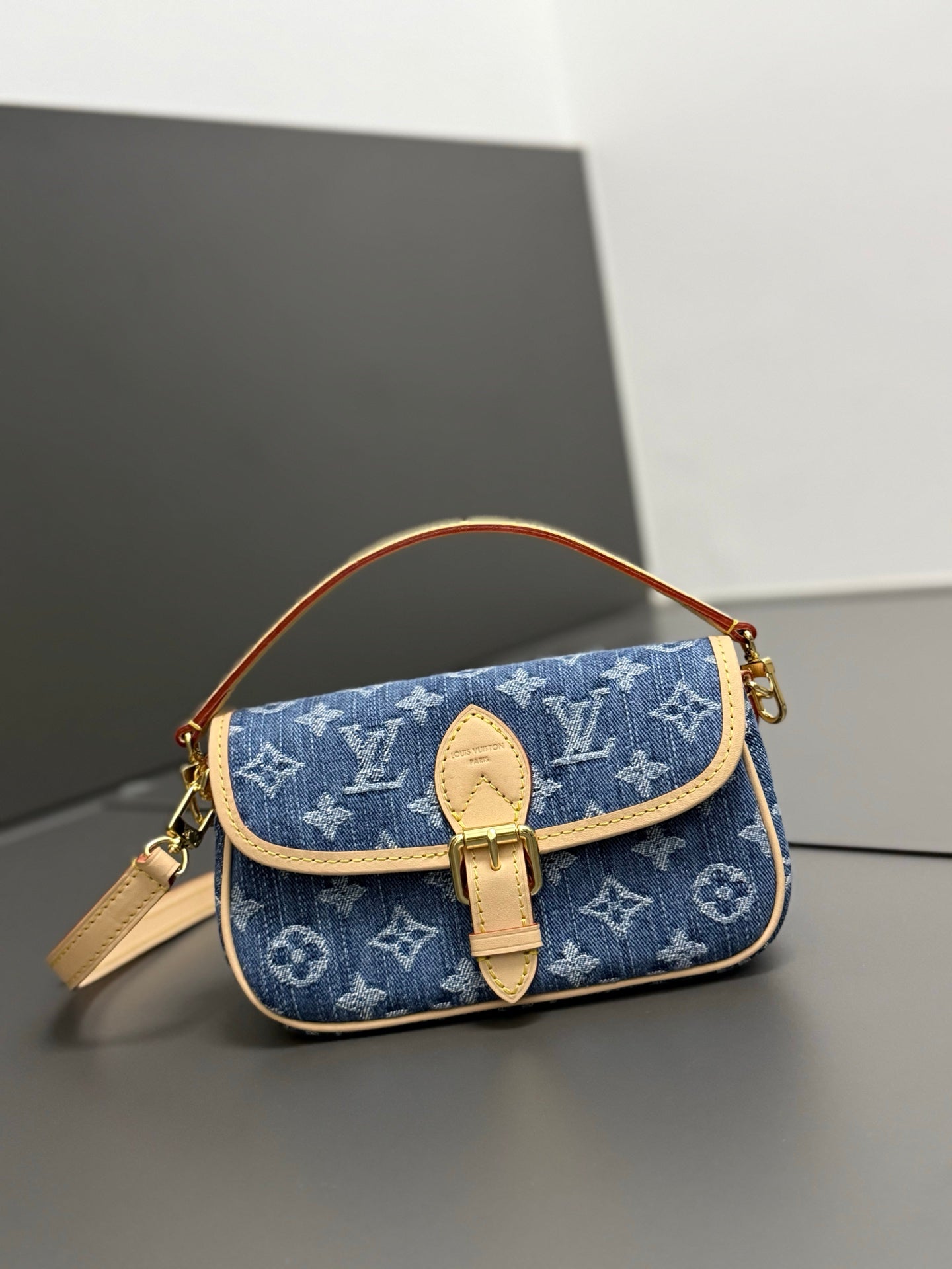 LV bag