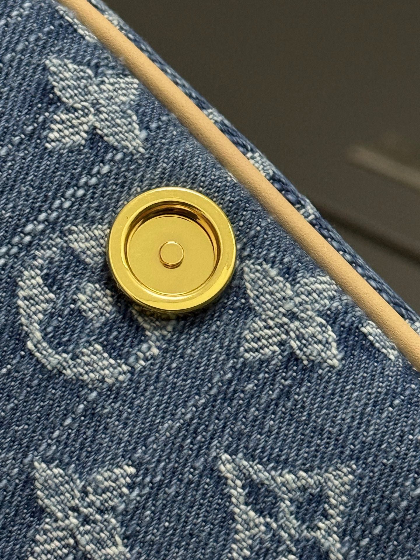LV bag