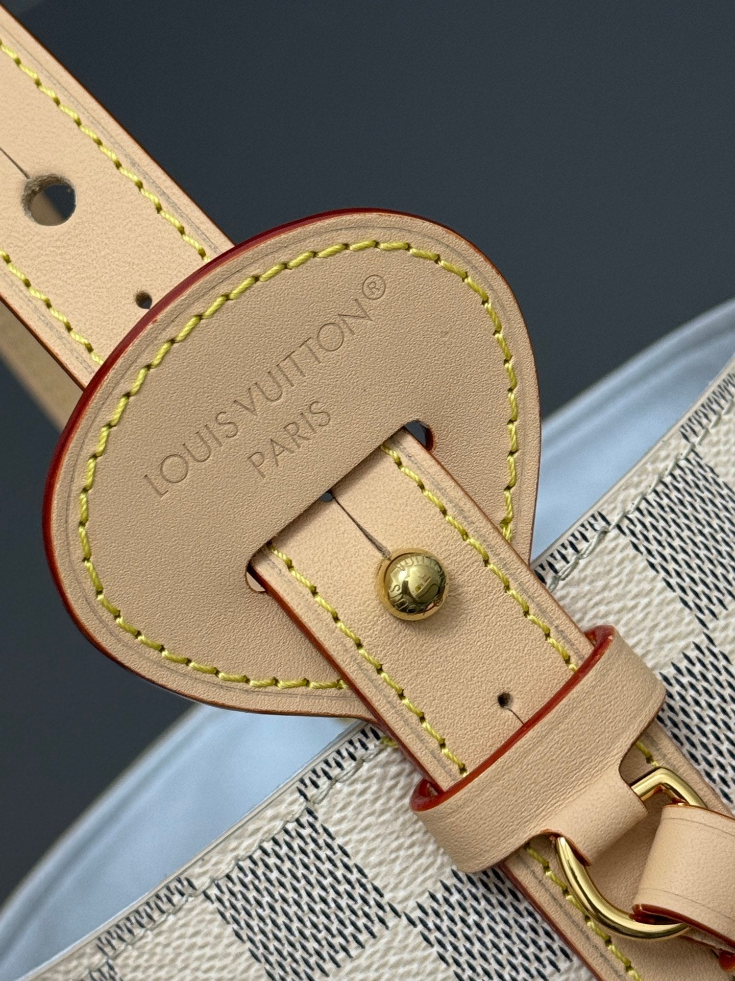 LV bag