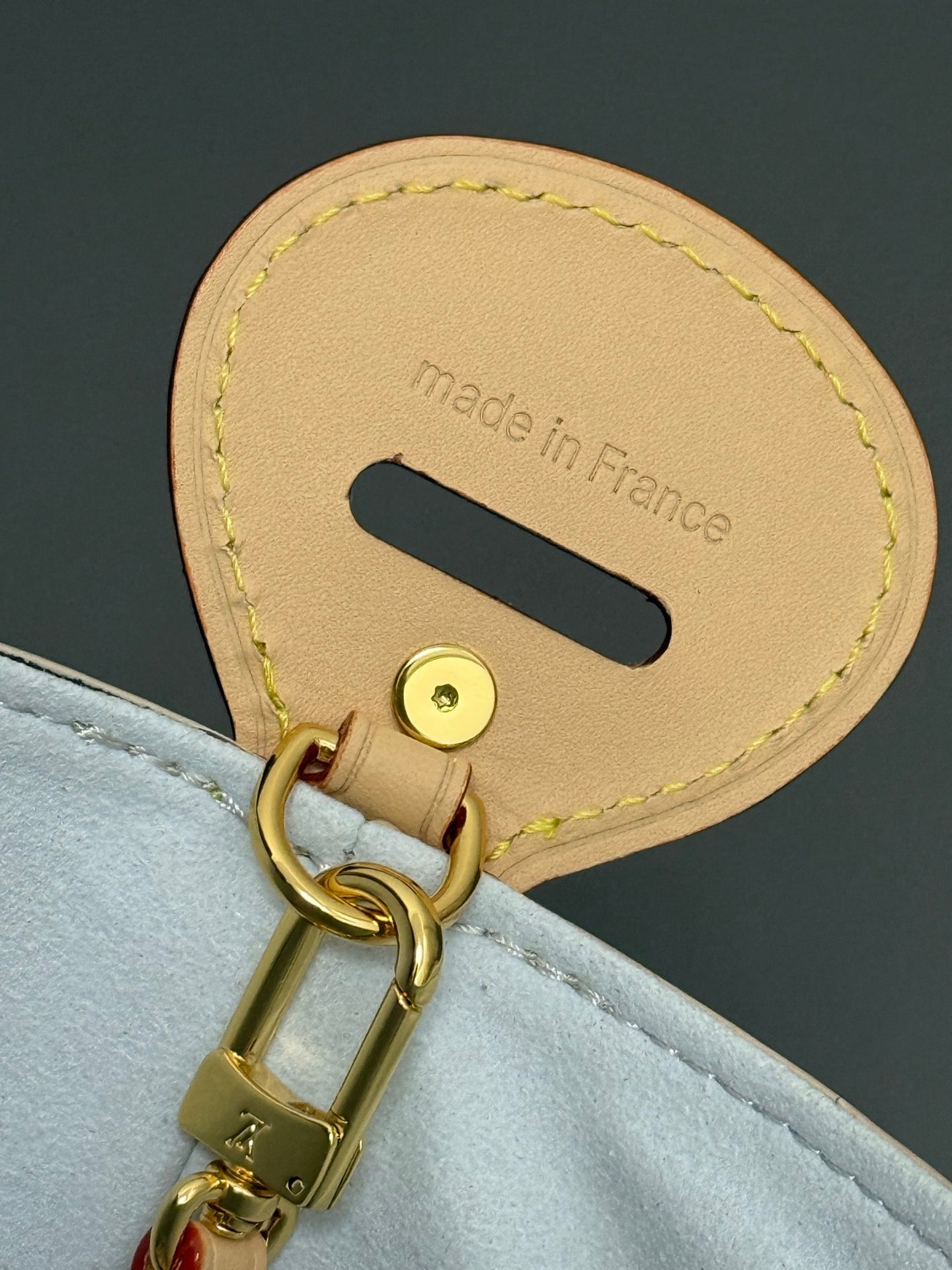 LV bag
