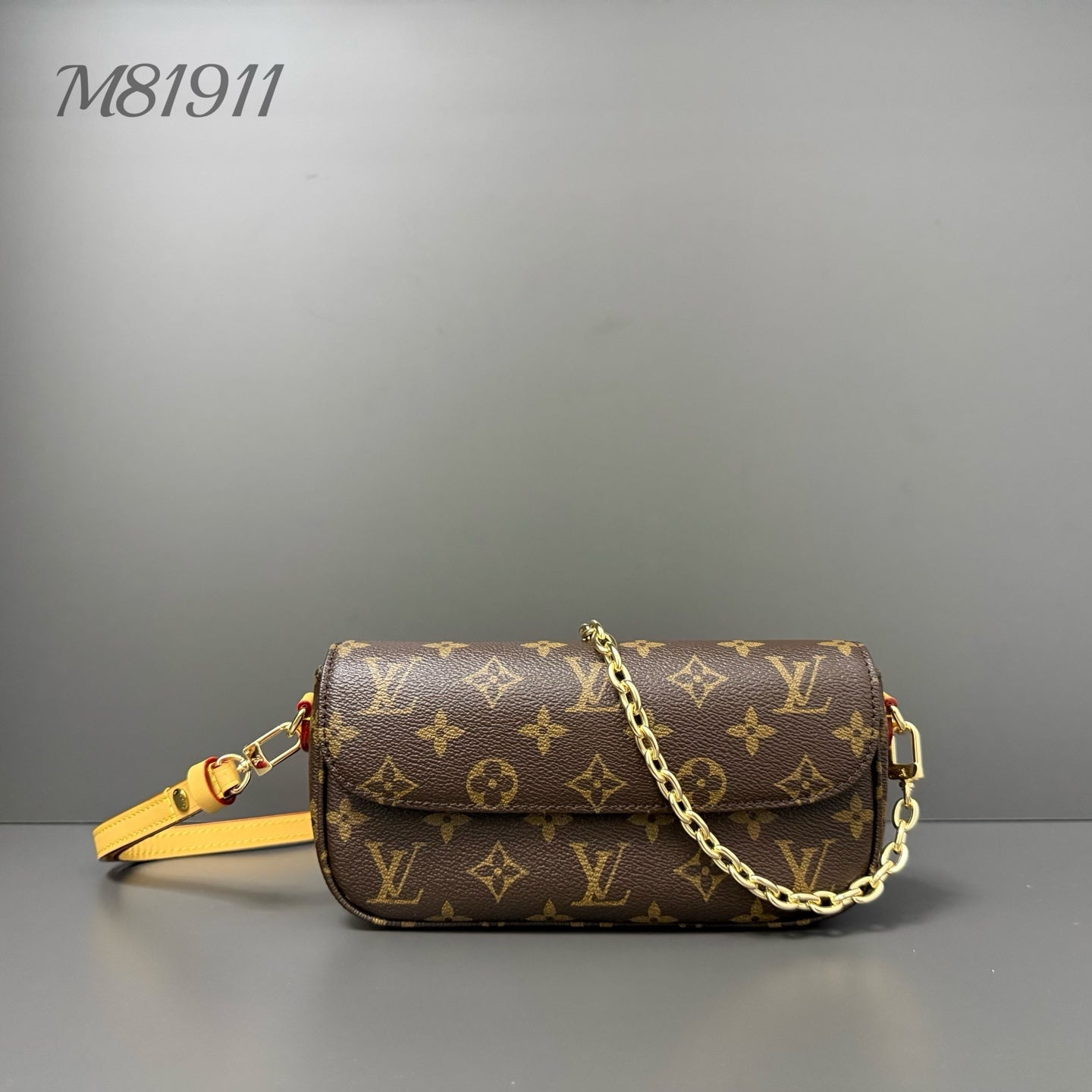 LV bag