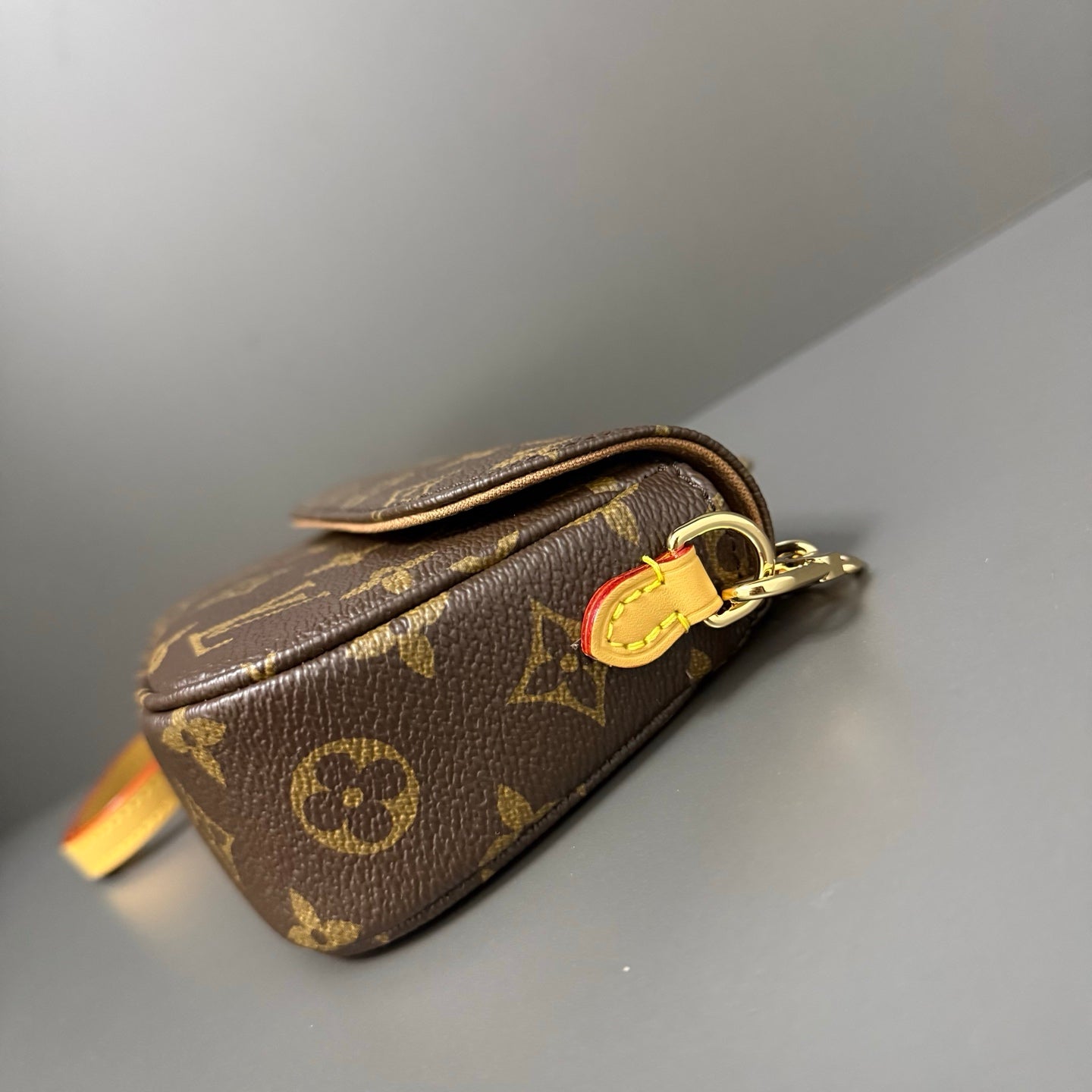 LV bag